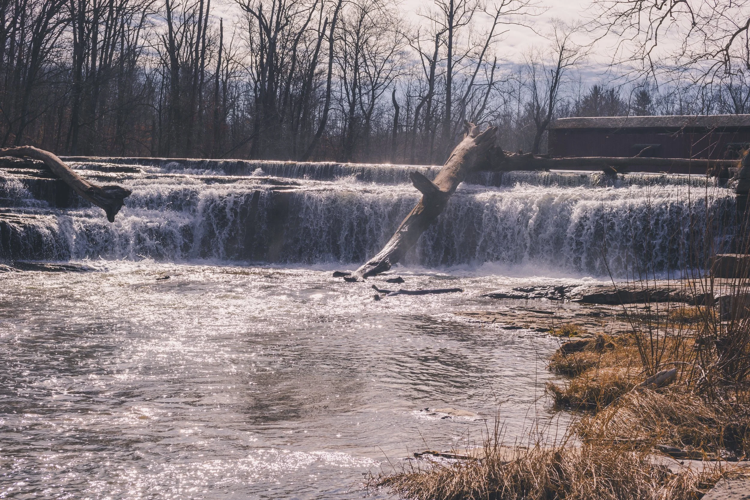 cataract falls-21.jpg