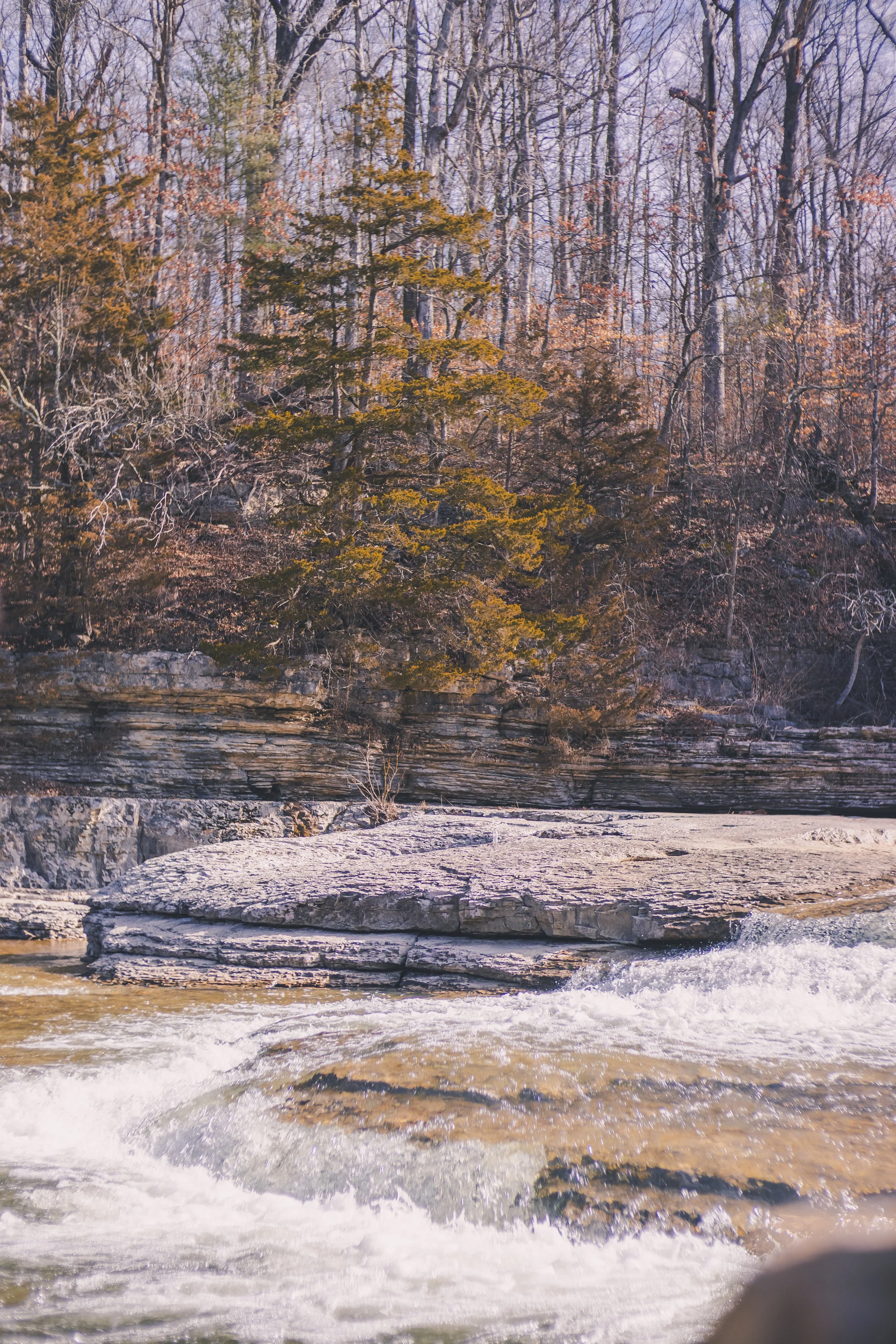 cataract falls-2.jpg