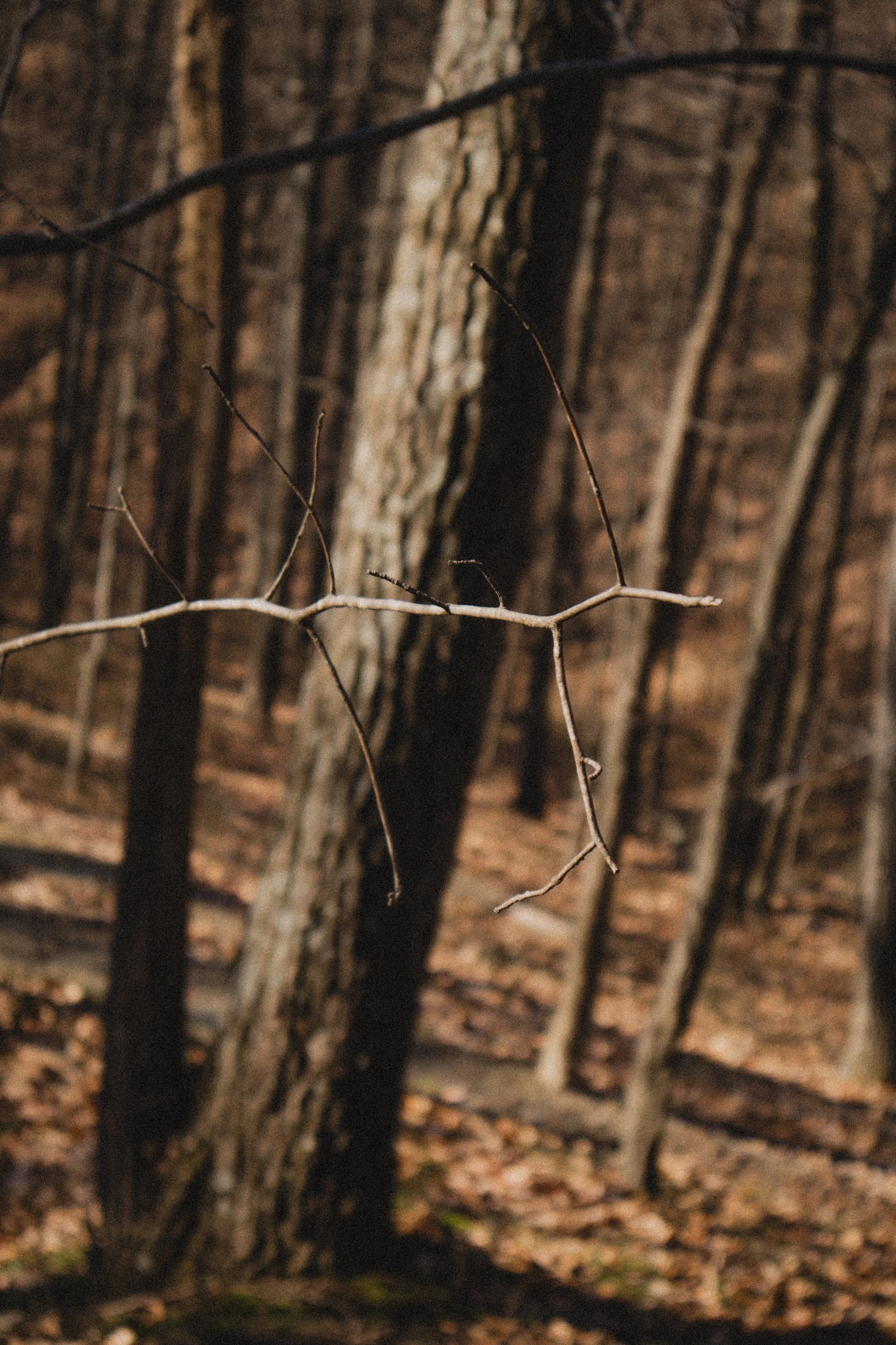 Content Pack 7-4.jpg