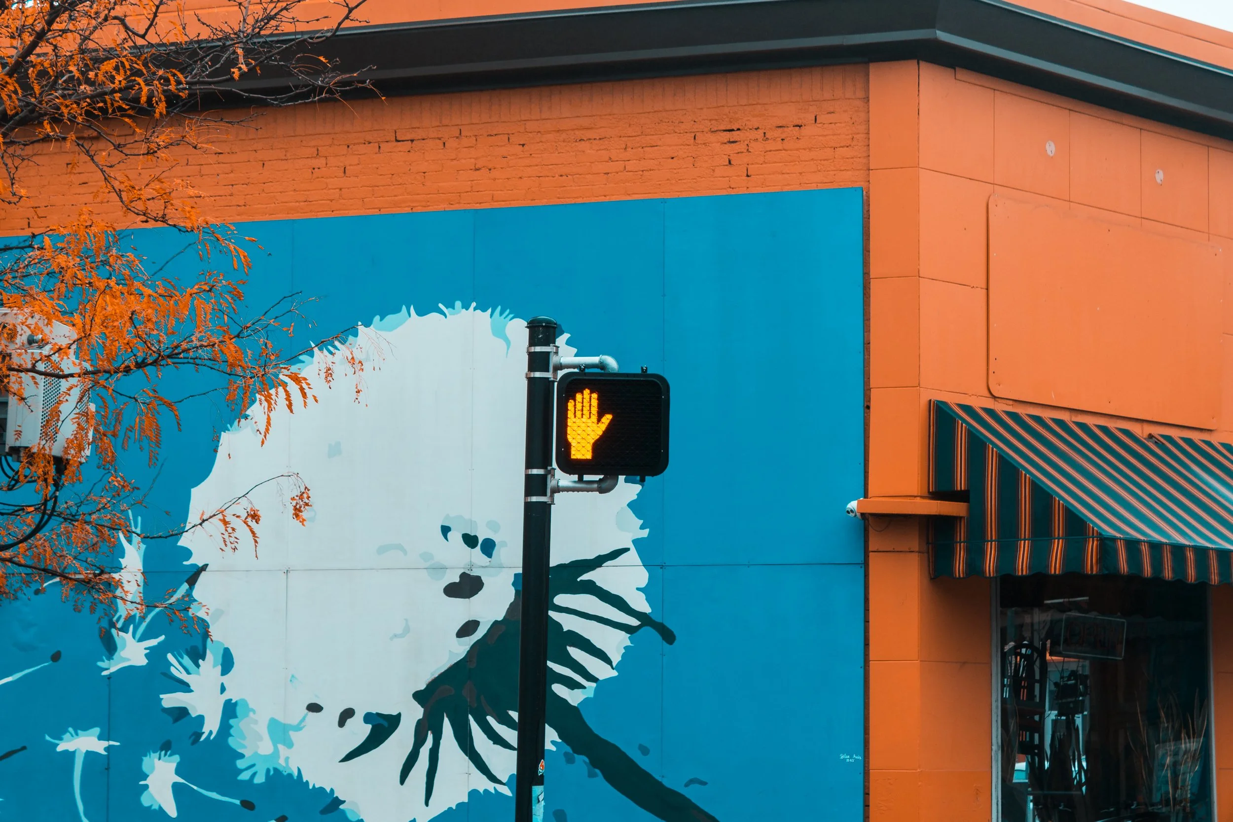 Content Pack 4-7.jpg