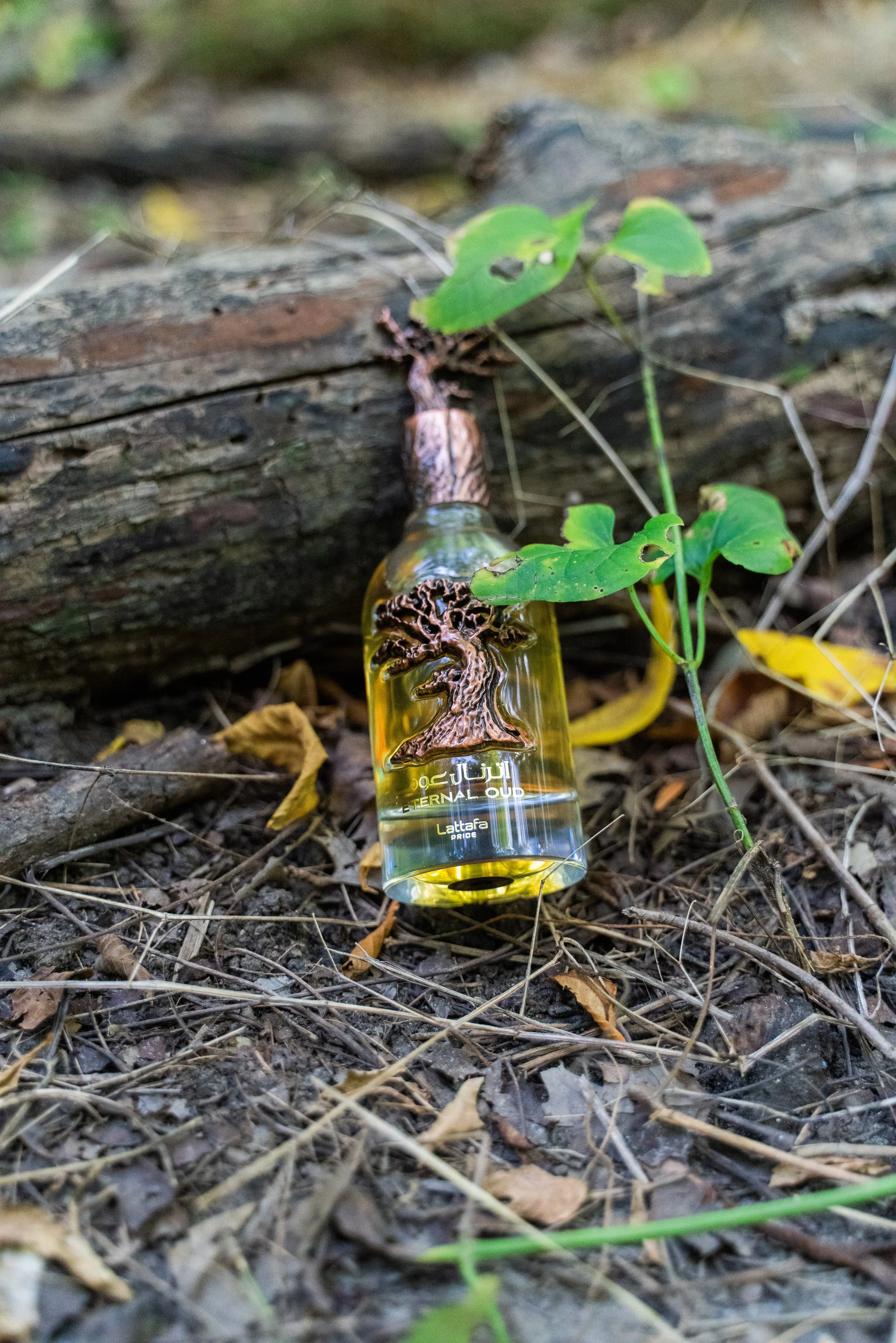 eternal oud ad 1-4.jpg