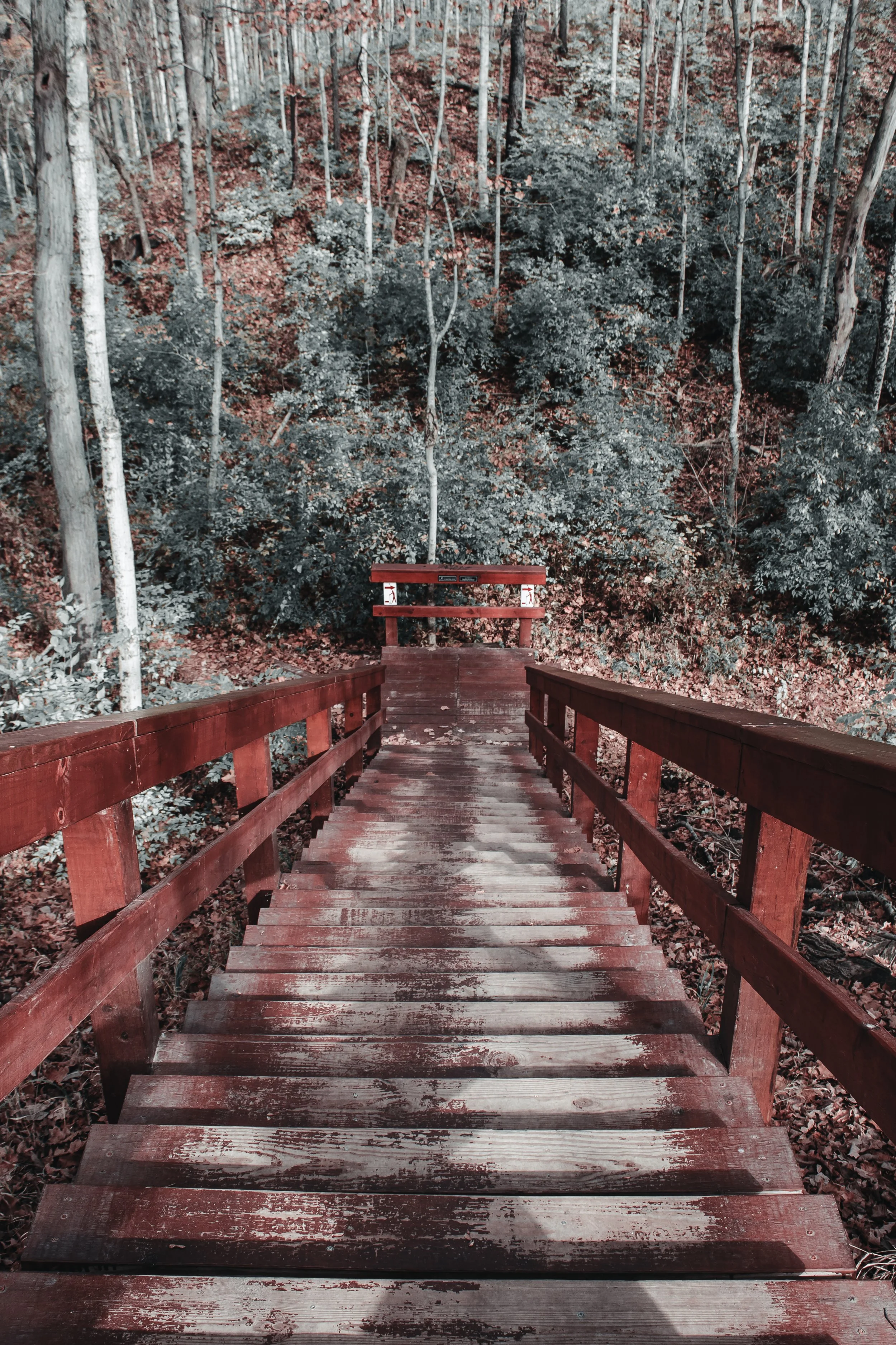 Content Pack 5-24.jpg