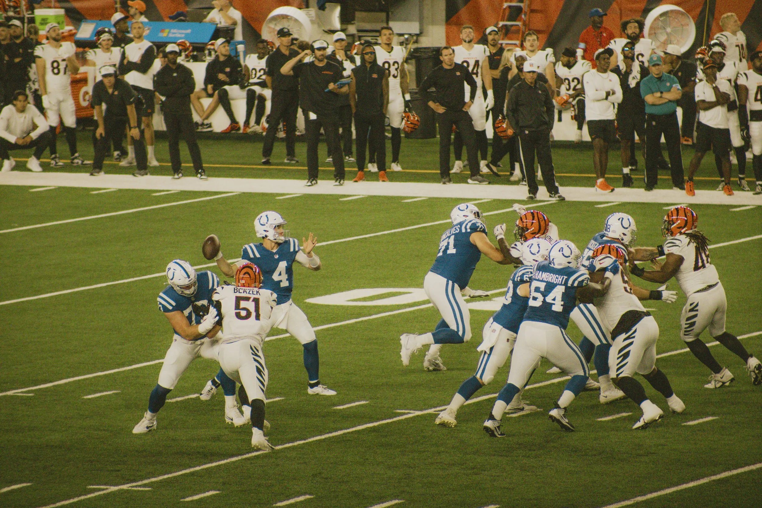 bengals-37.jpg
