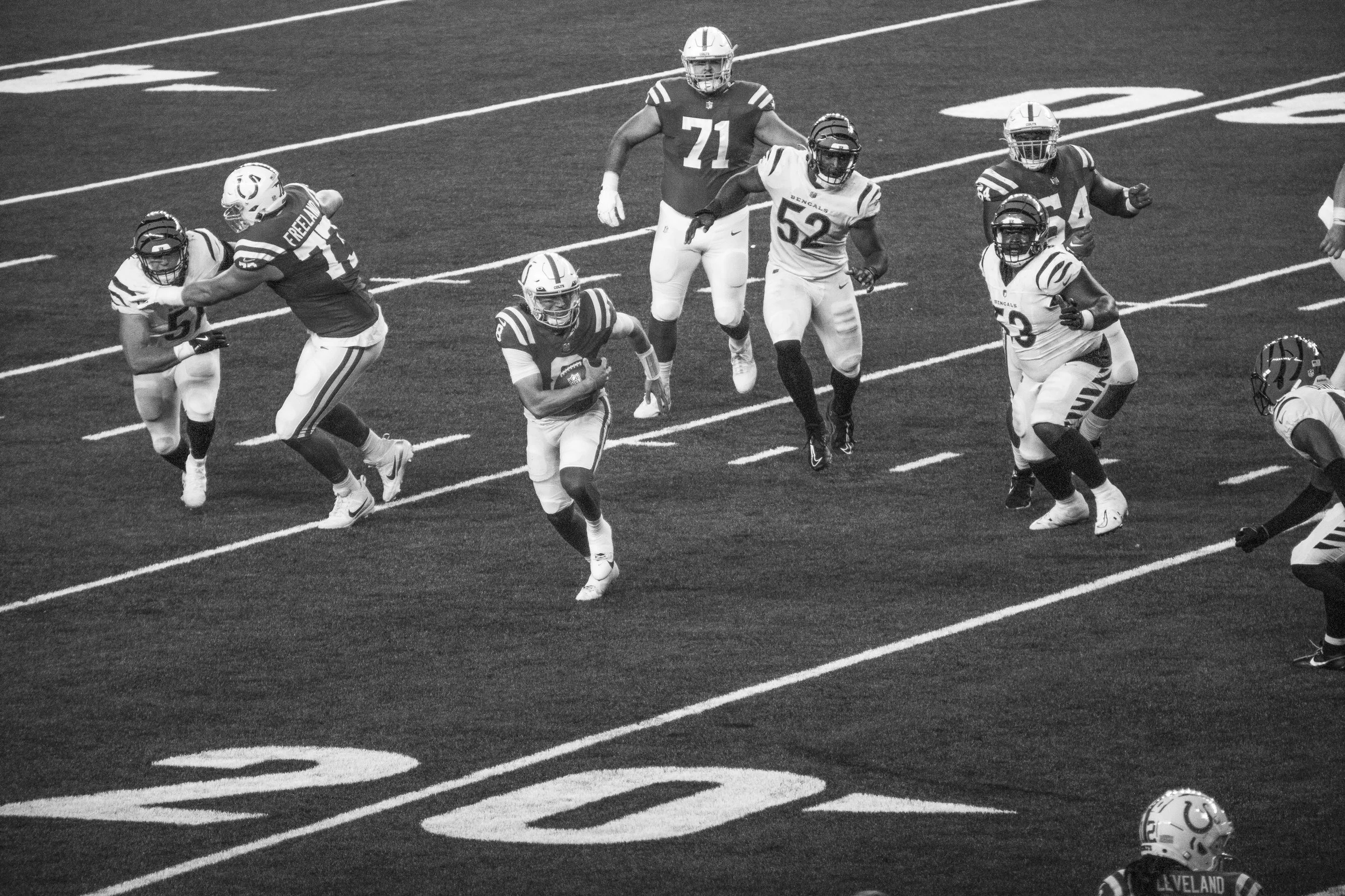 bengals-53.jpg