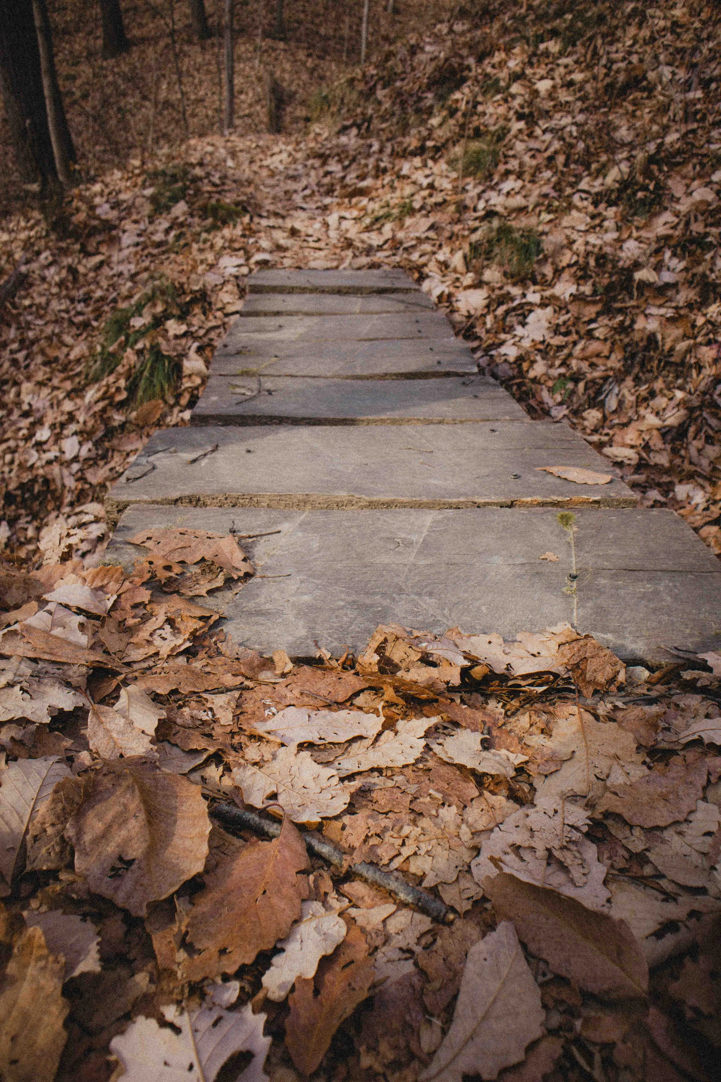 borwnocunty20mb (22 of 30).jpg