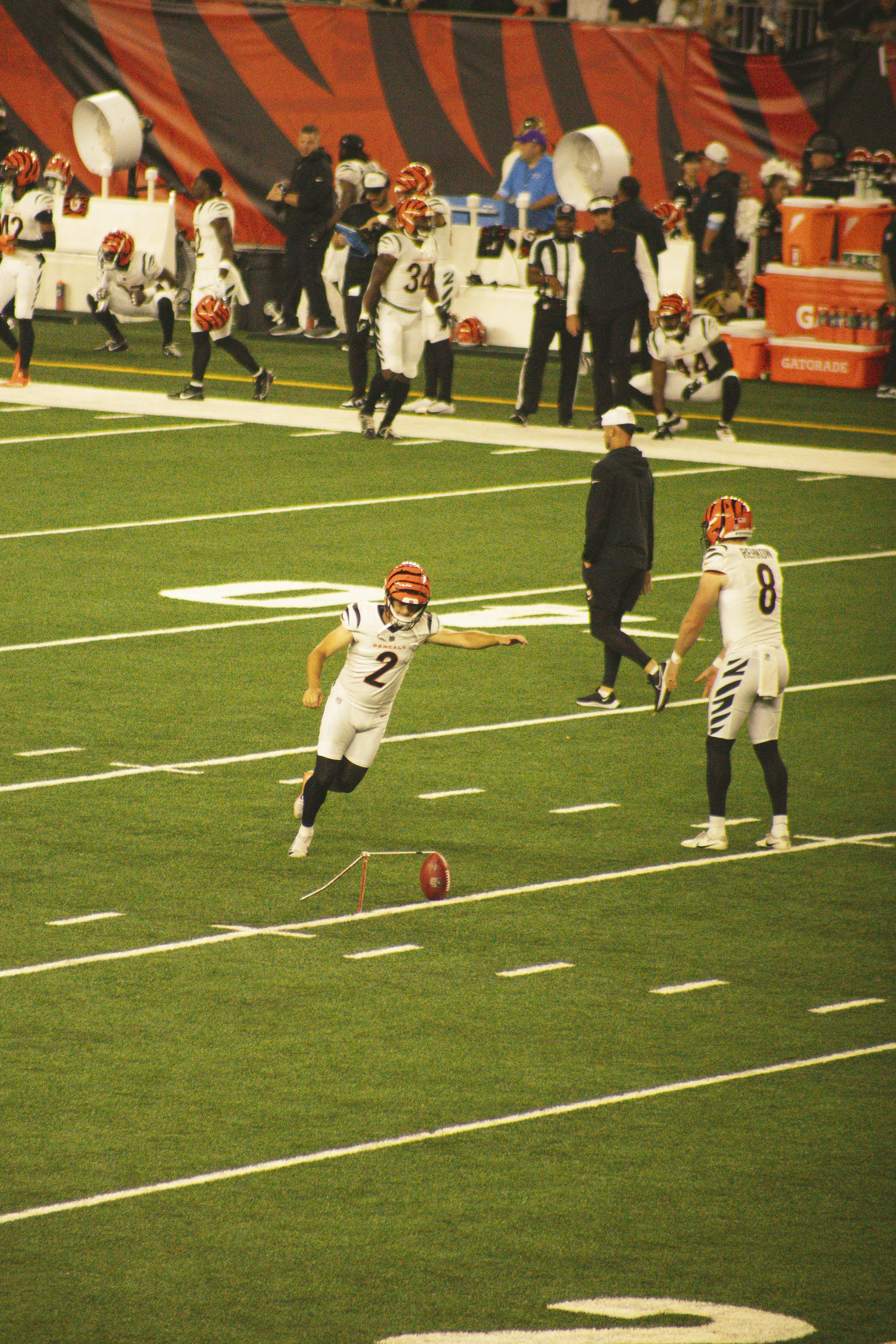 bengals-46.jpg