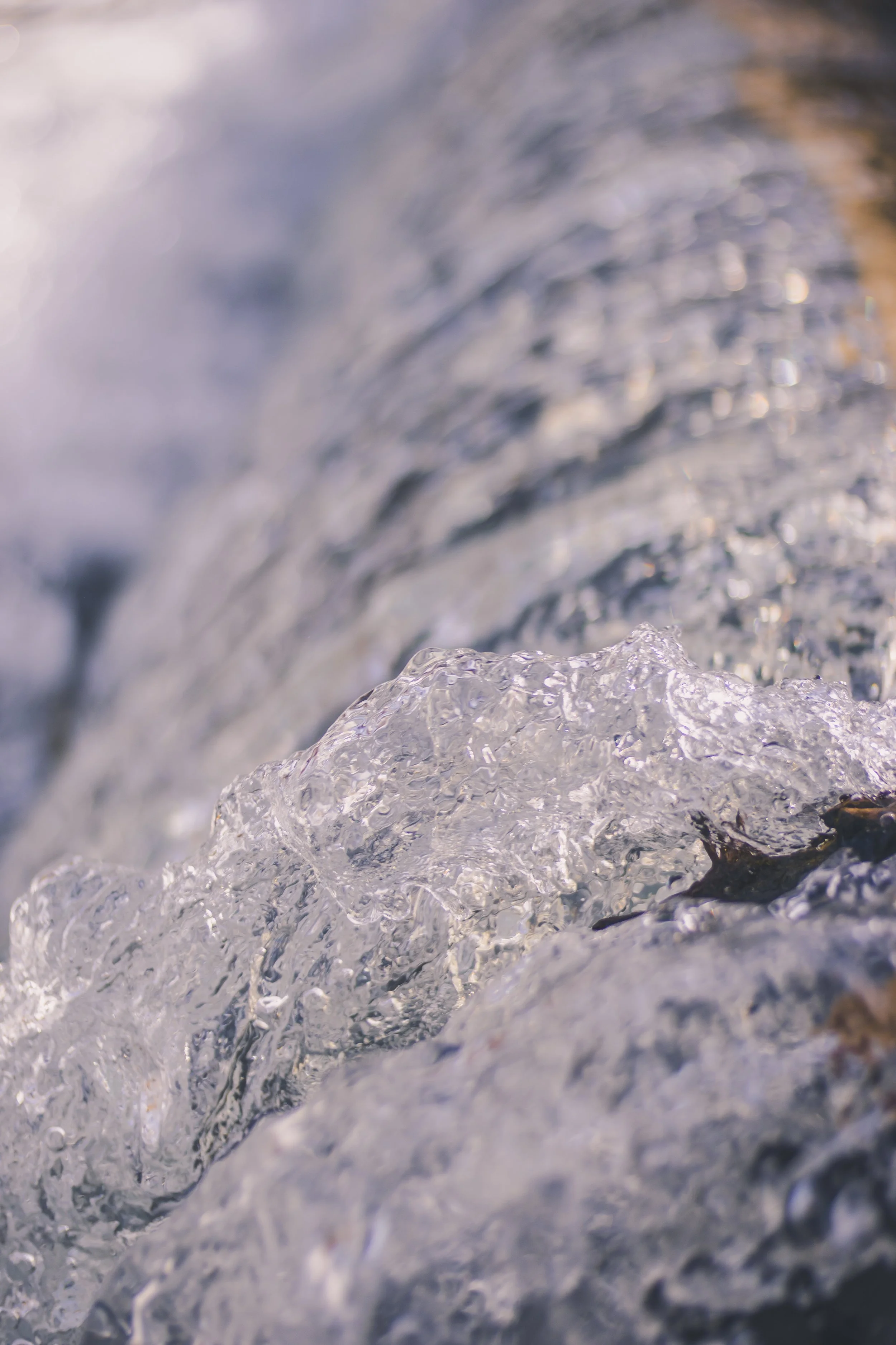 cataract falls-37.jpg