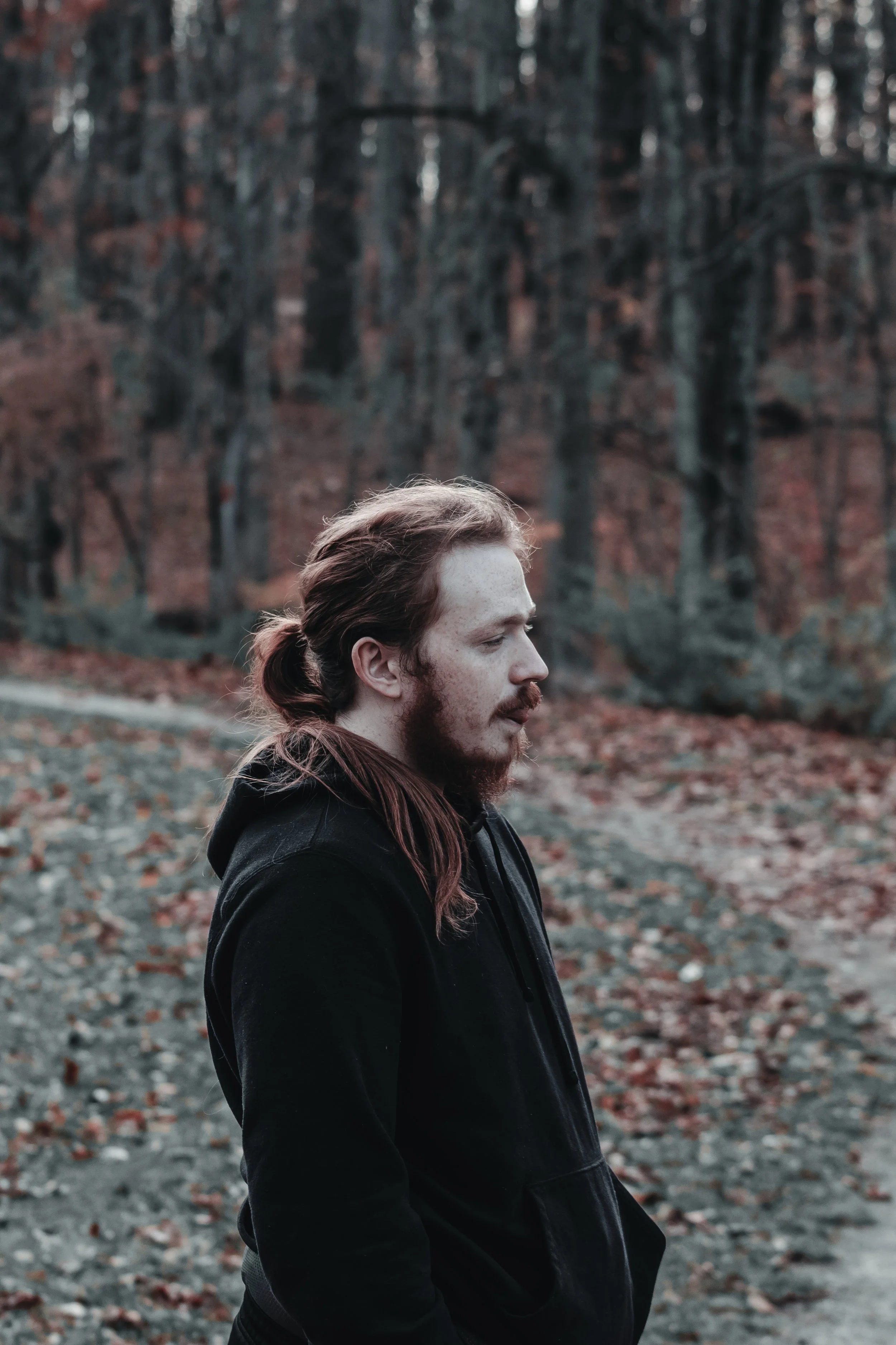 Content Pack 5-2.jpg