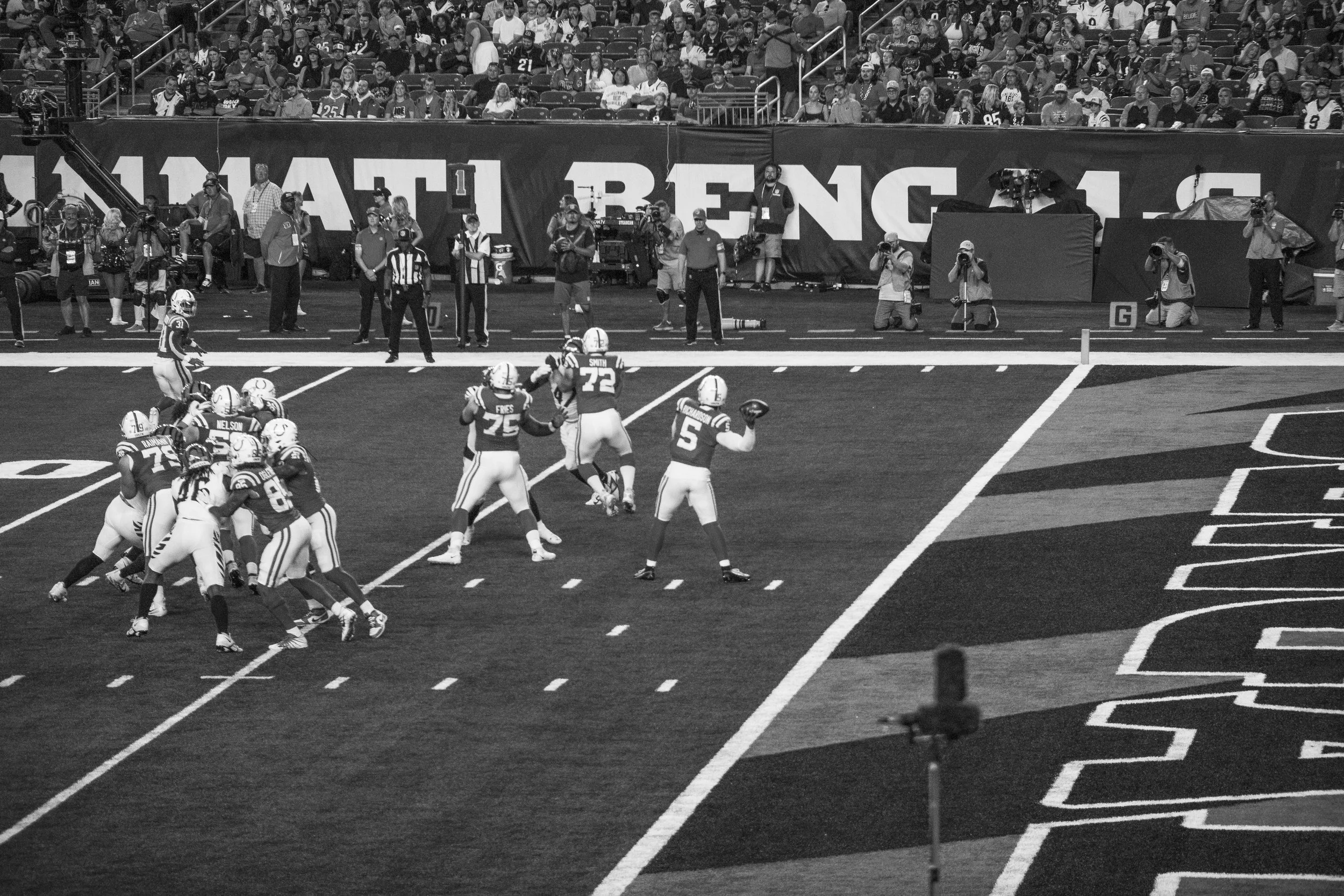 bengals-21.jpg