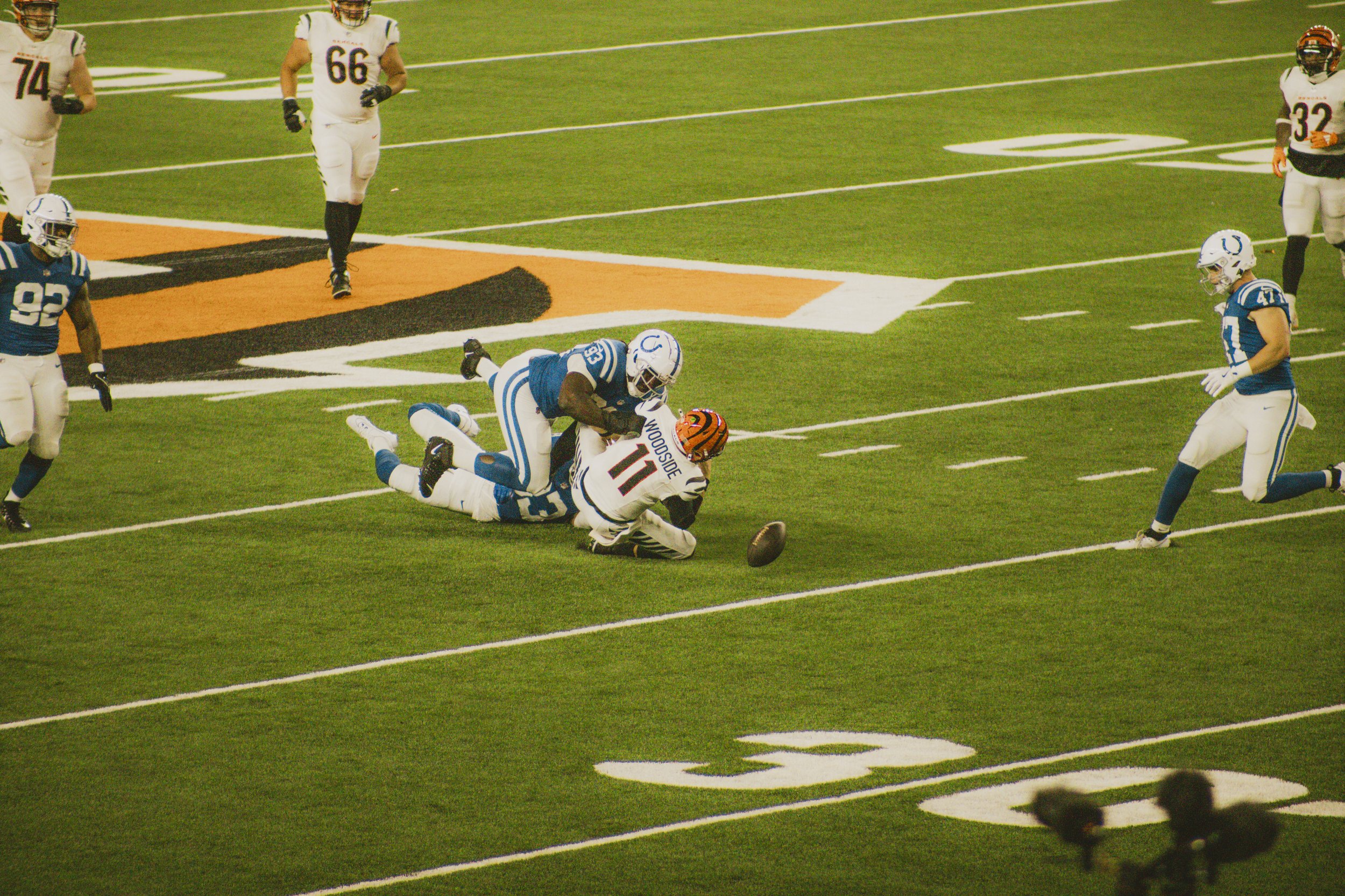 bengals-57.jpg