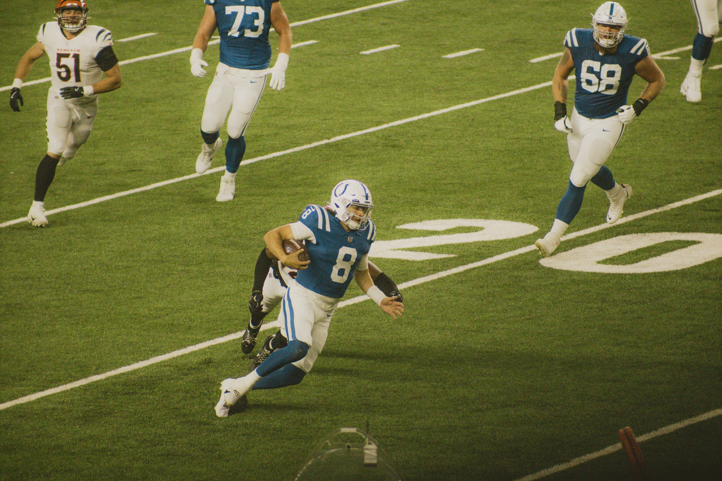 bengals-55.jpg