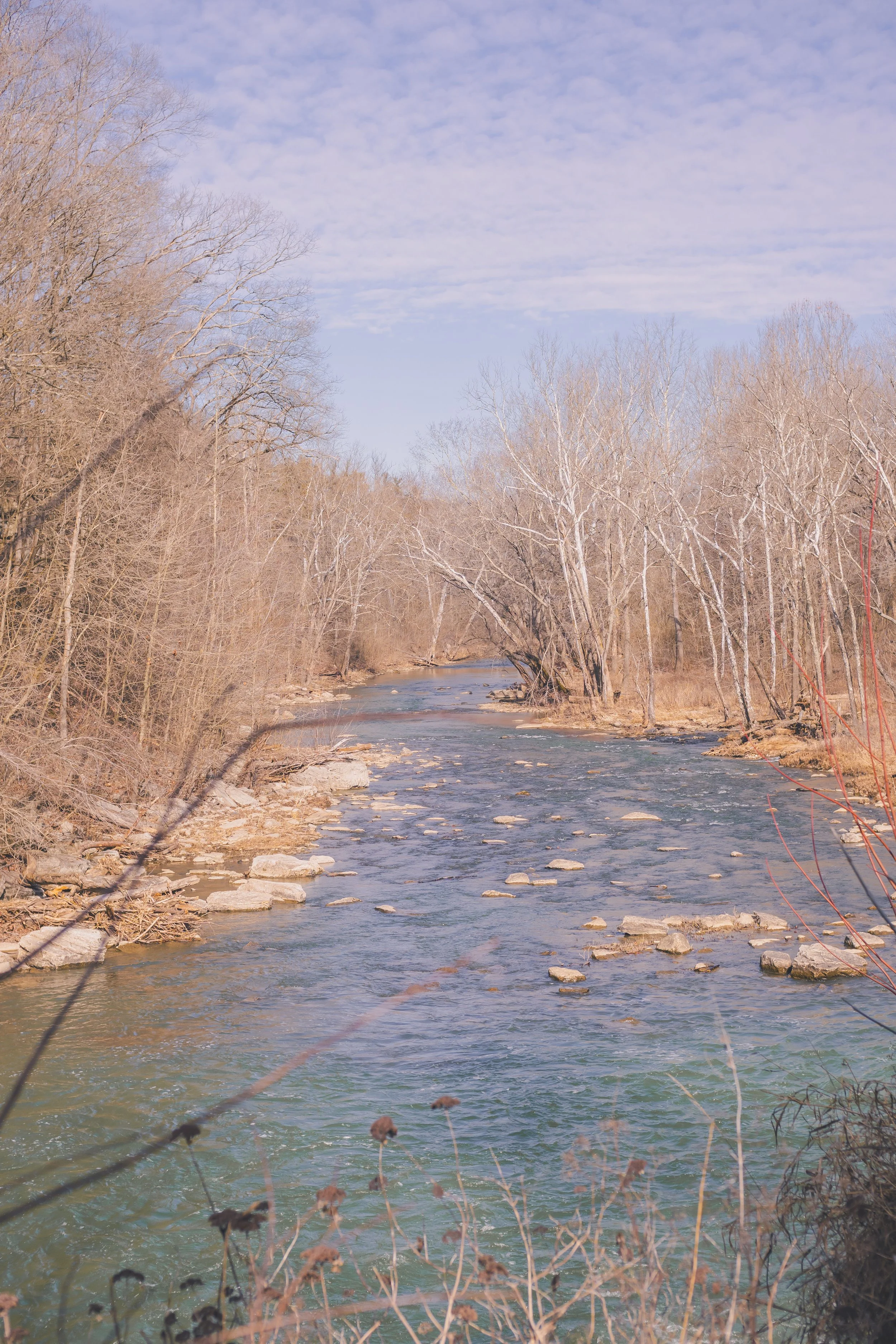 cataract falls-18.jpg