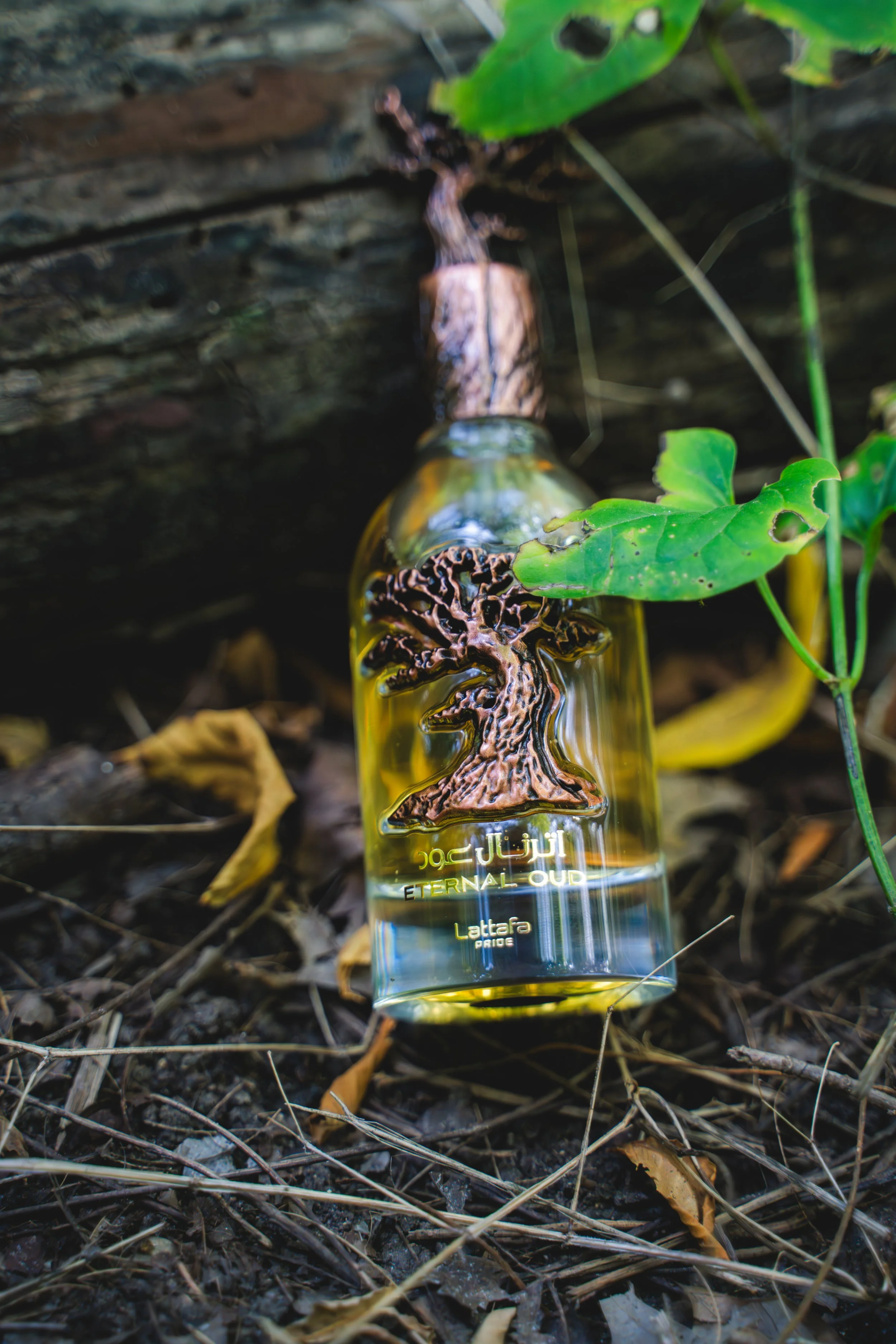 eternal oud ad 1-3.jpg