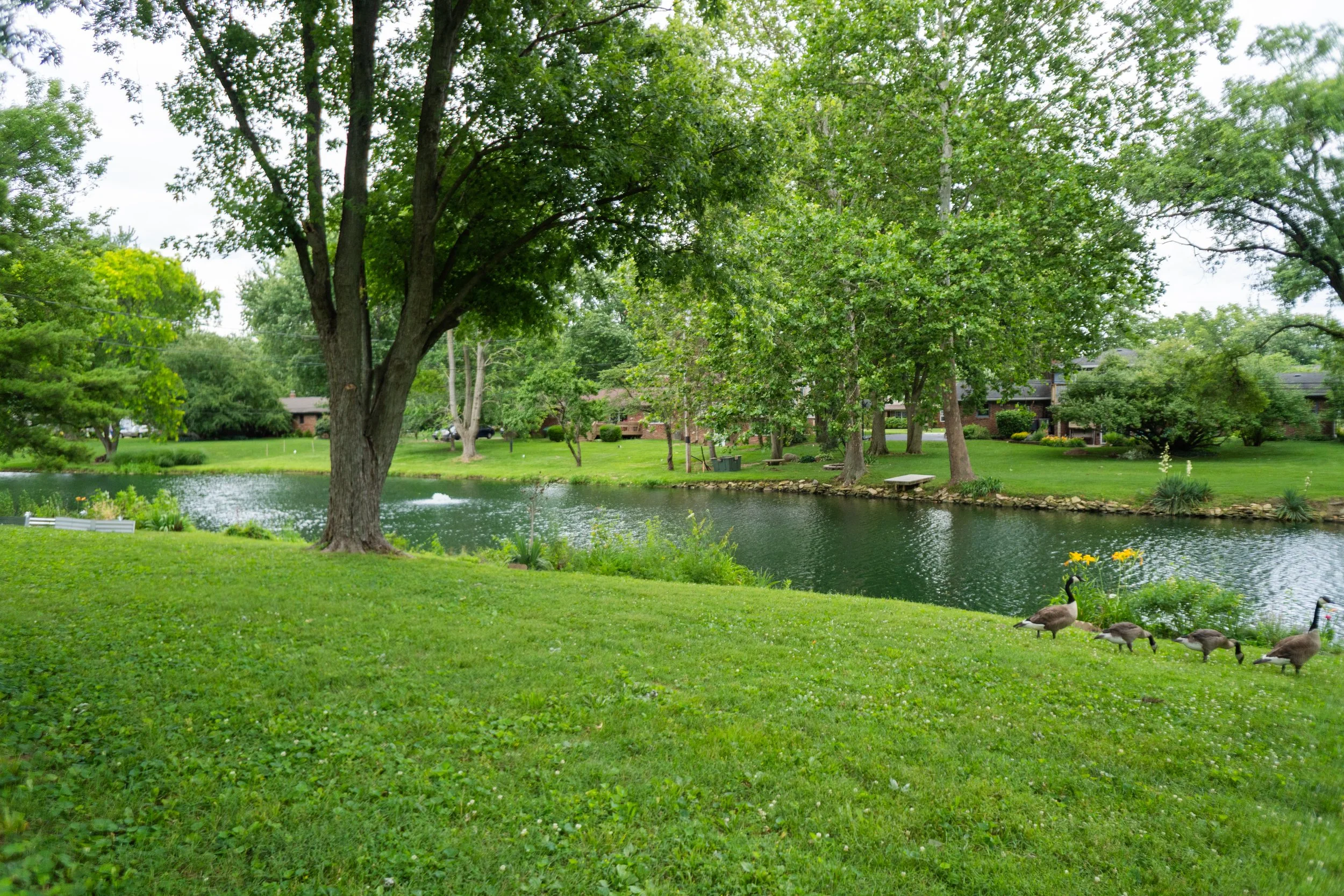 9565 edgewater-28.jpg