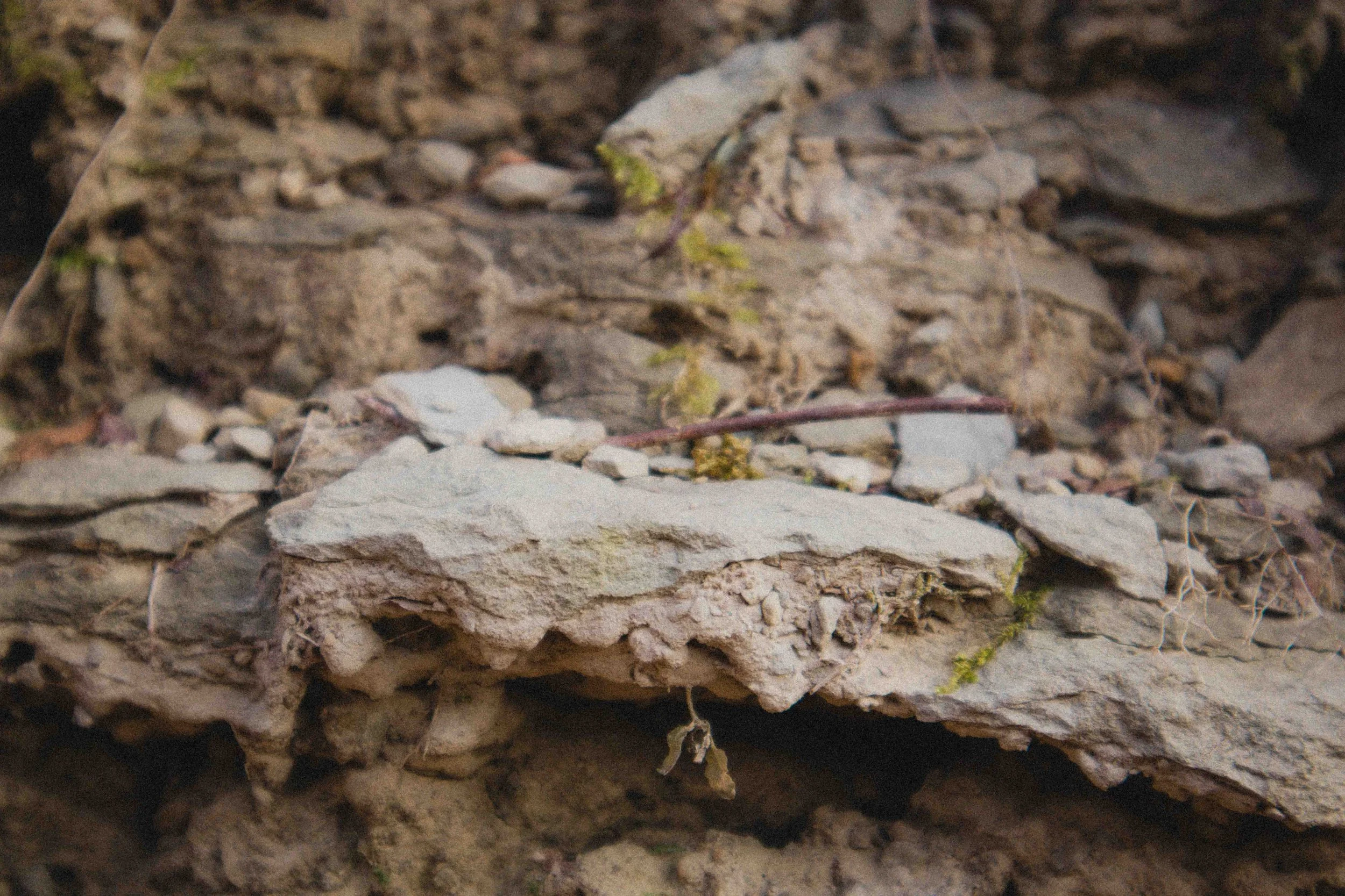 borwnocunty20mb (16 of 30).jpg