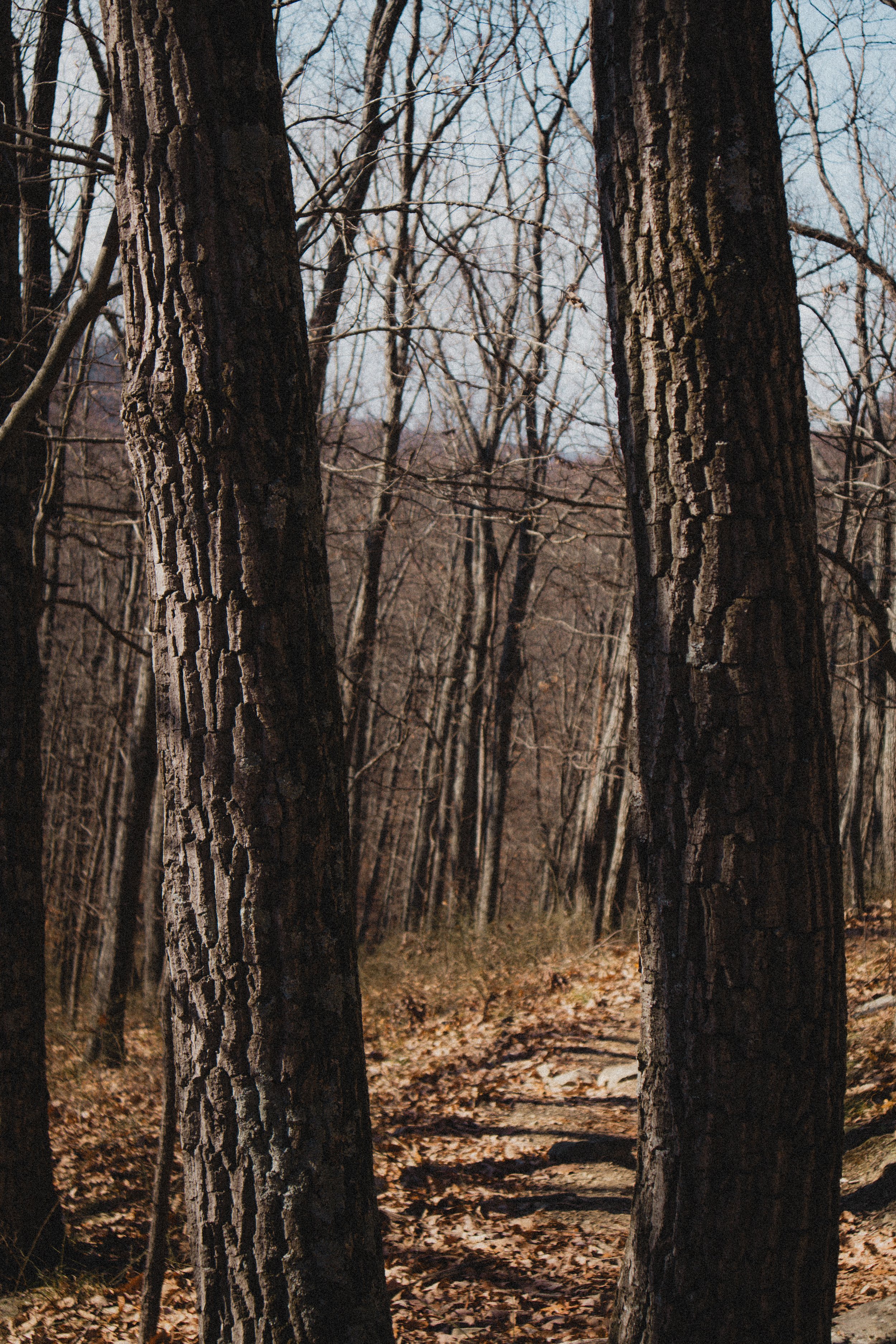 Content Pack 7-3.jpg