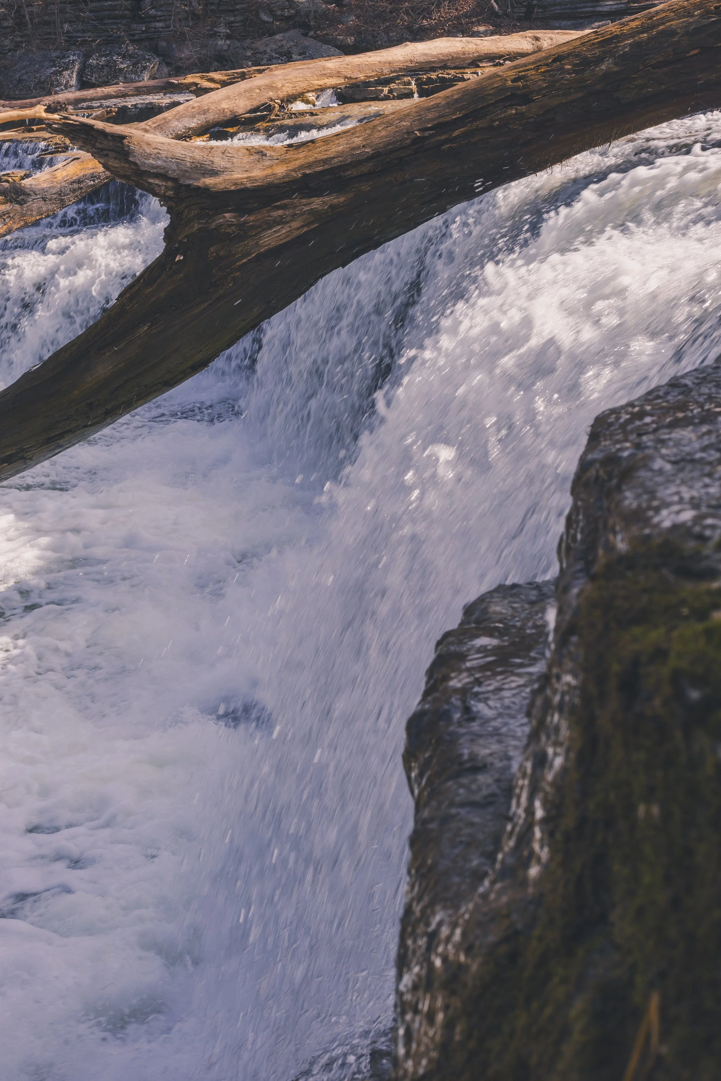 cataract falls-30.jpg