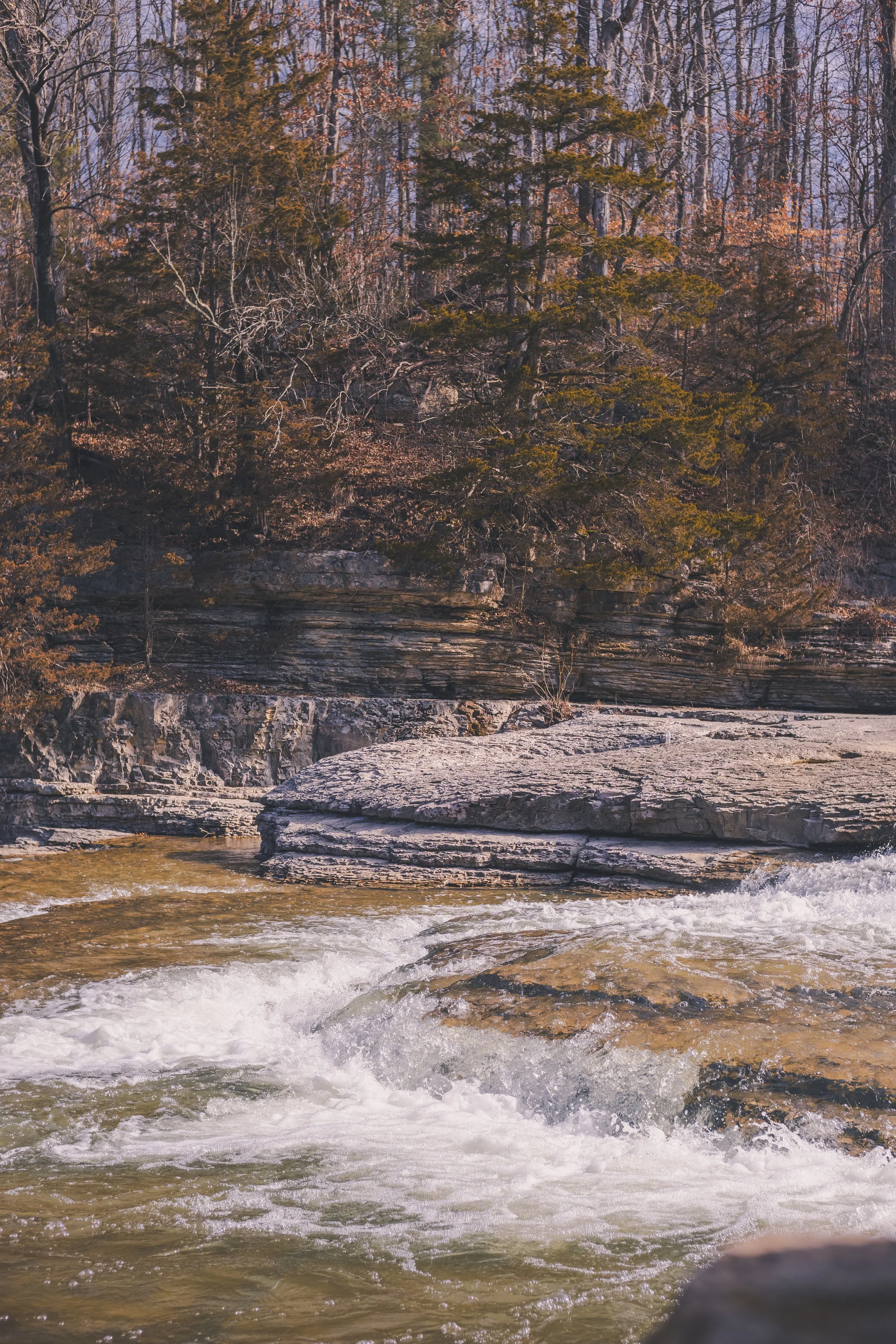 cataract falls-19.jpg