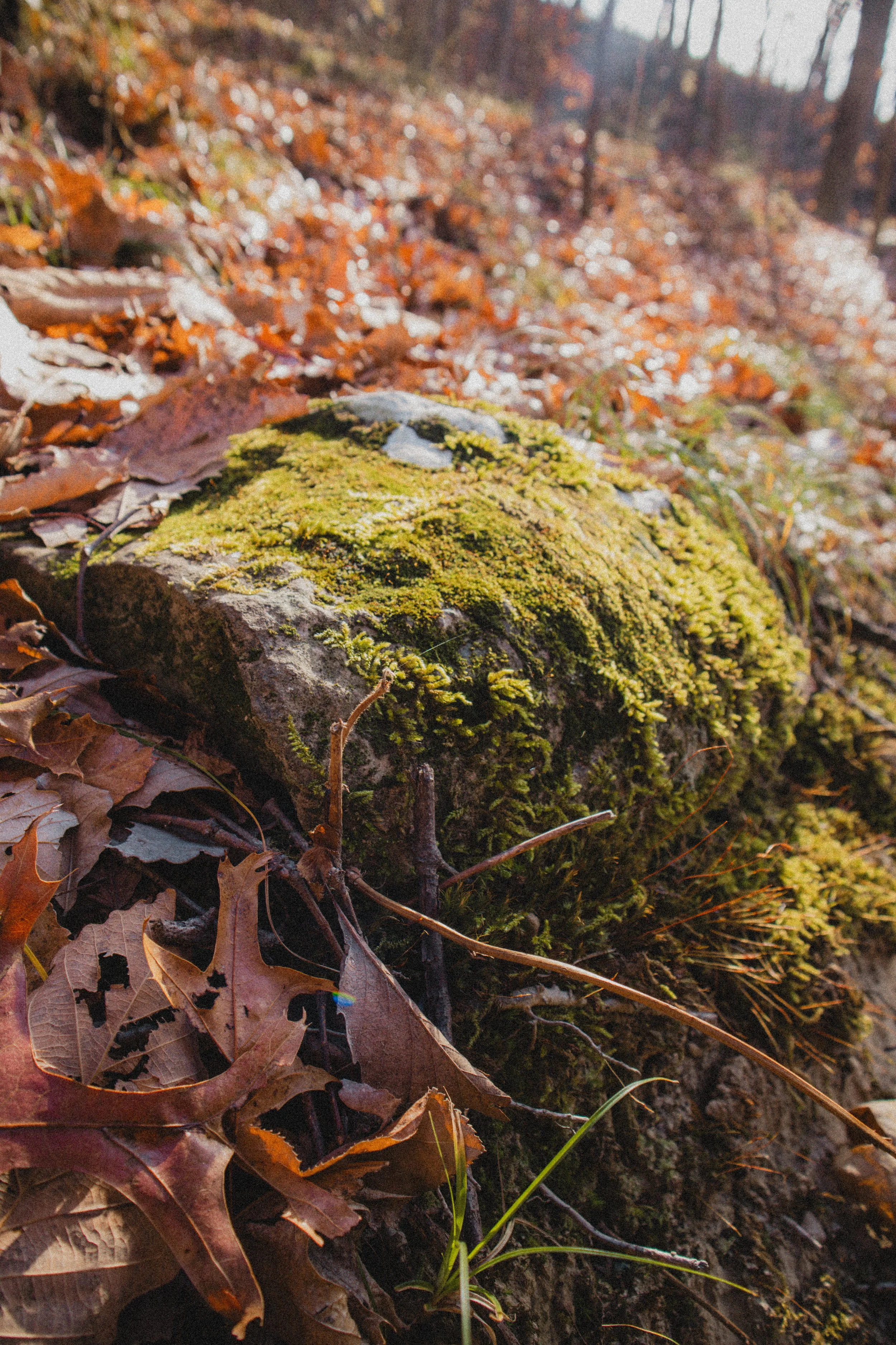 Content Pack 7-10.jpg