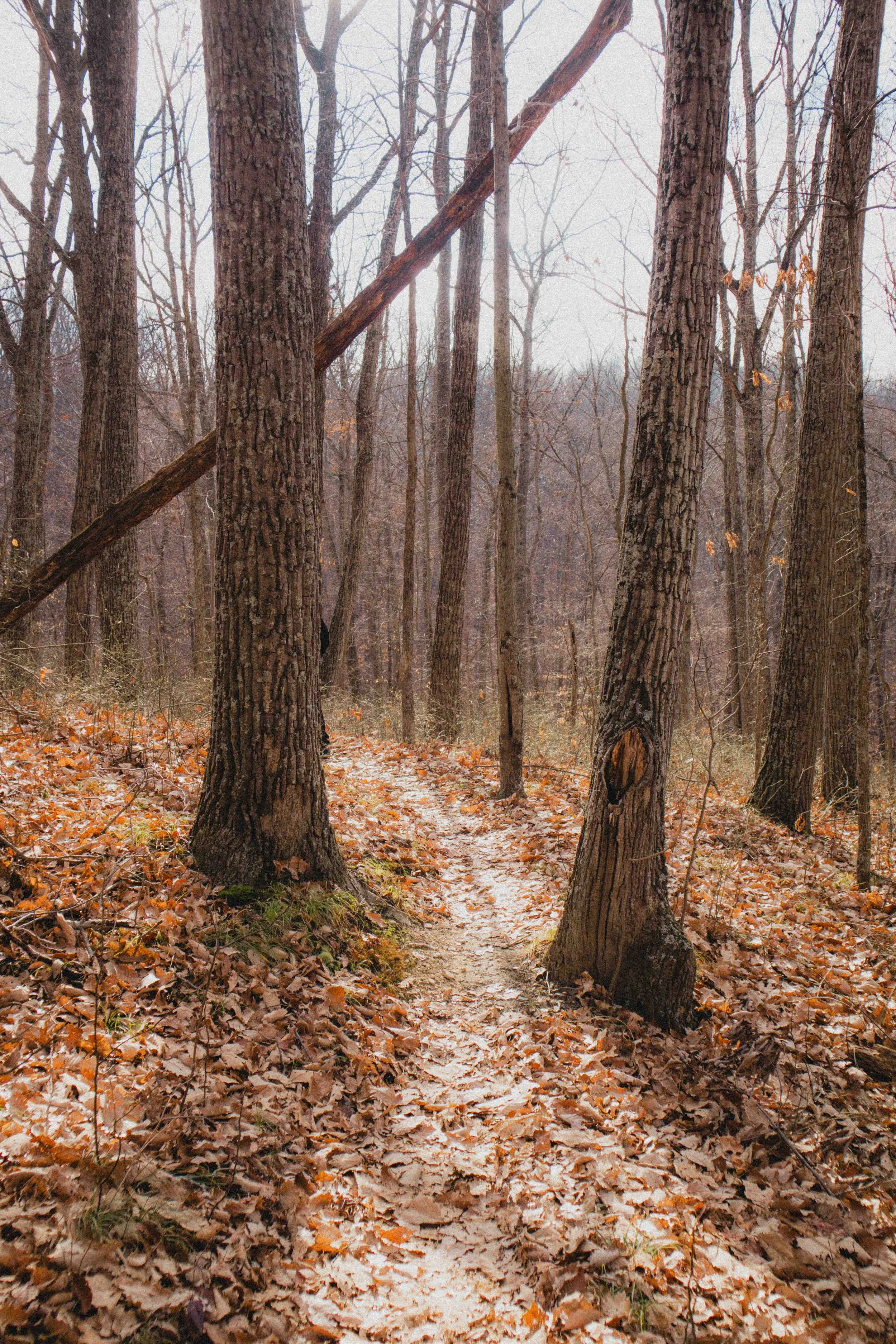 borwnocunty20mb (21 of 30).jpg