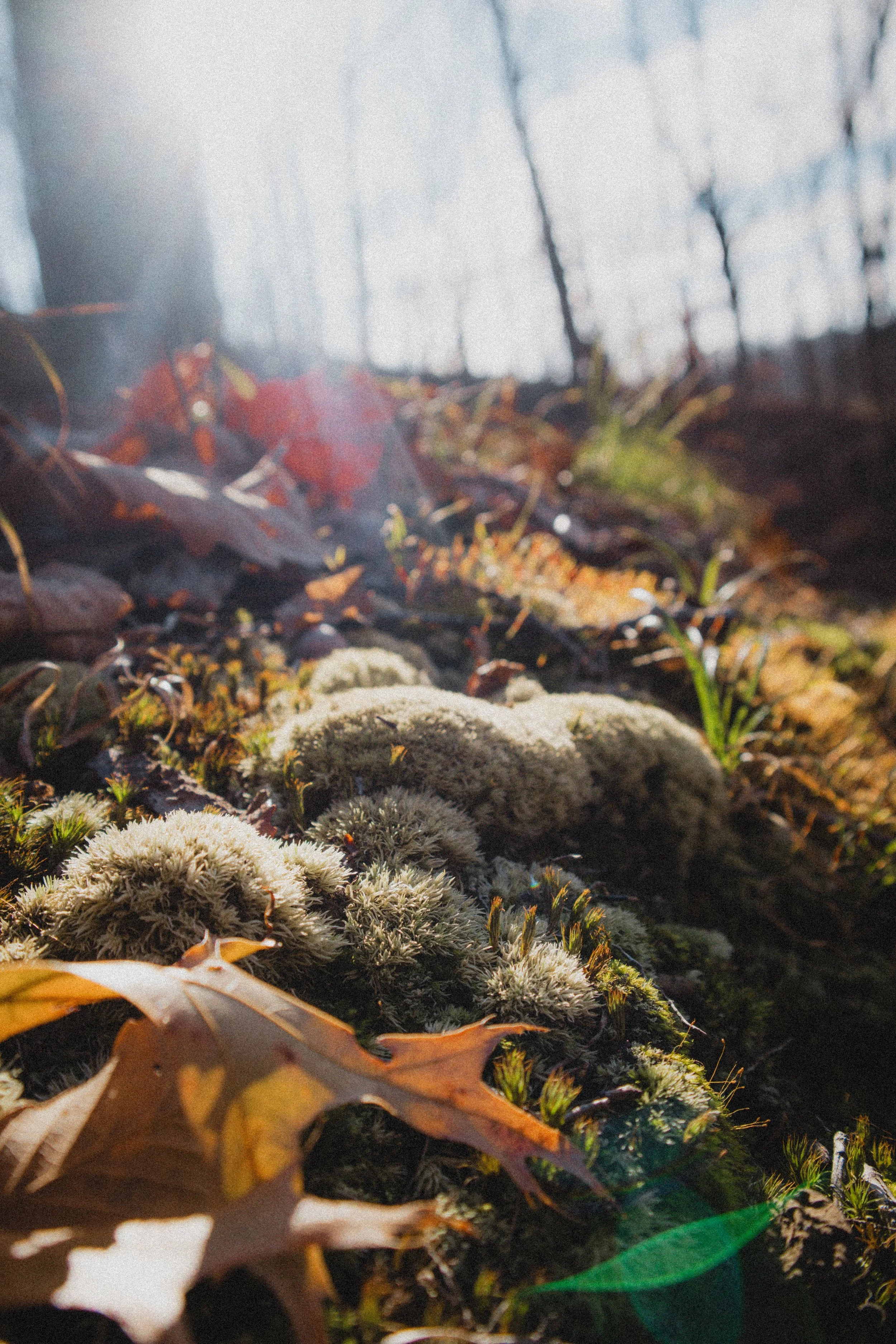 Content Pack 7-9.jpg