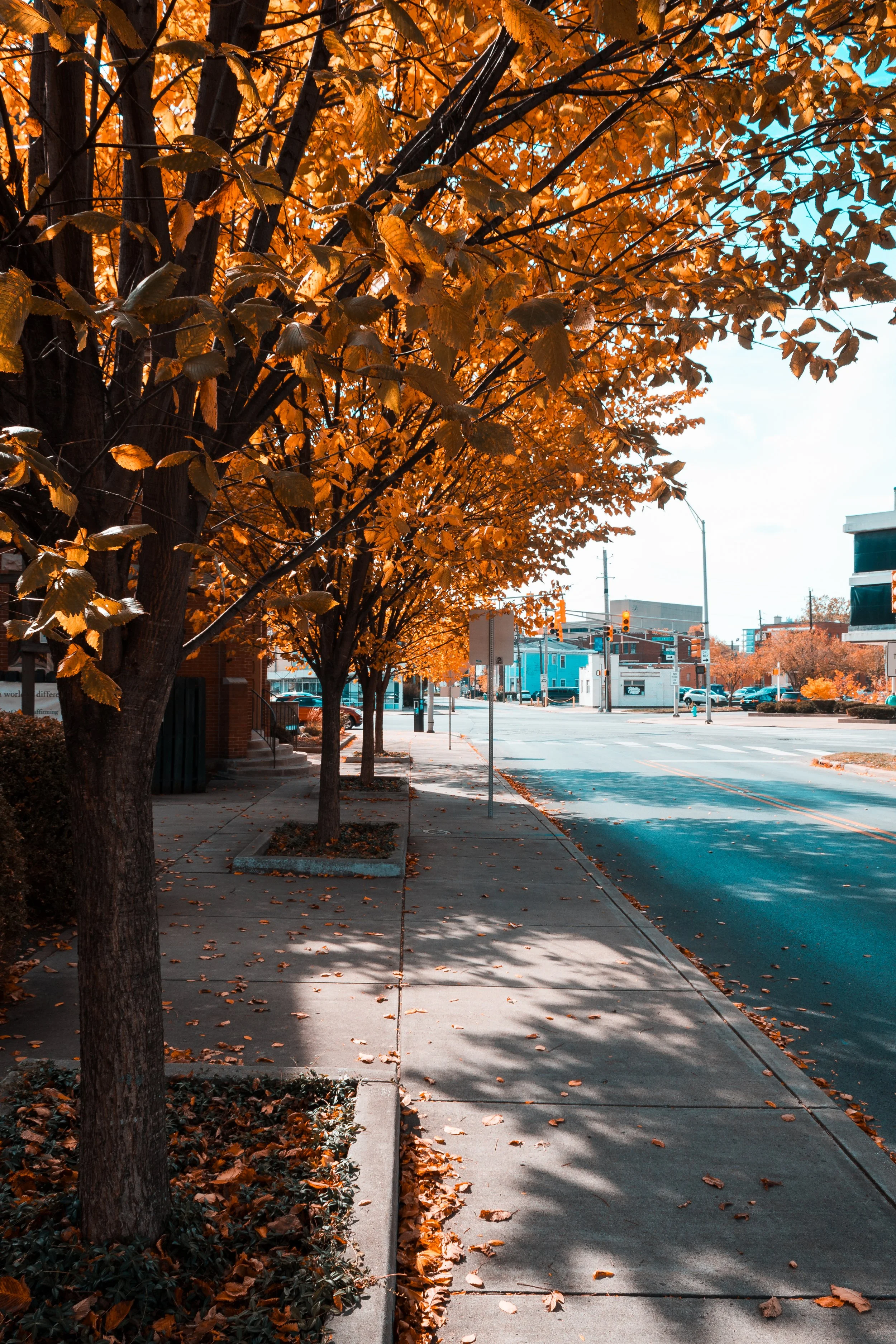 Content Pack 1-2.jpg