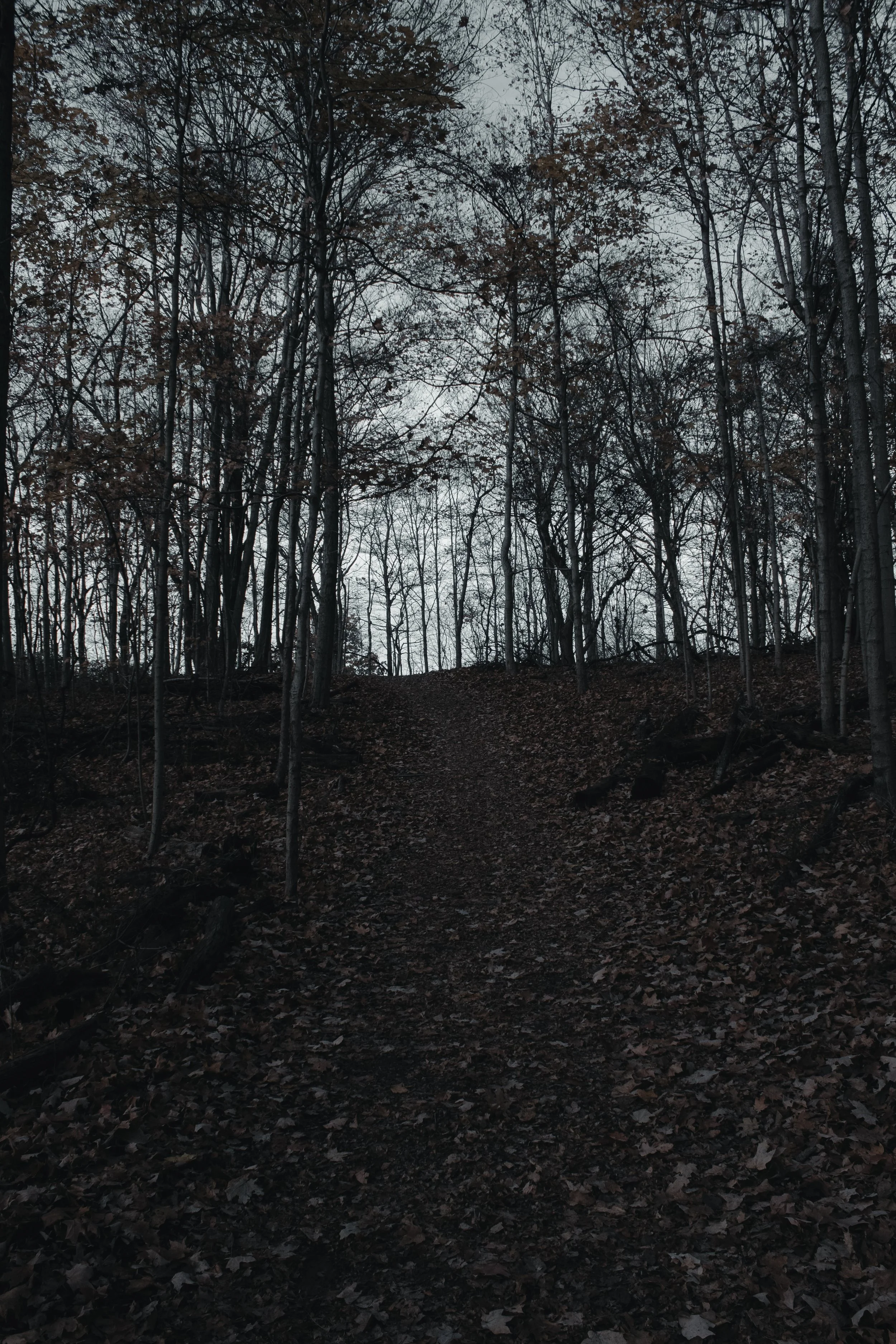 Content Pack 5-5.jpg