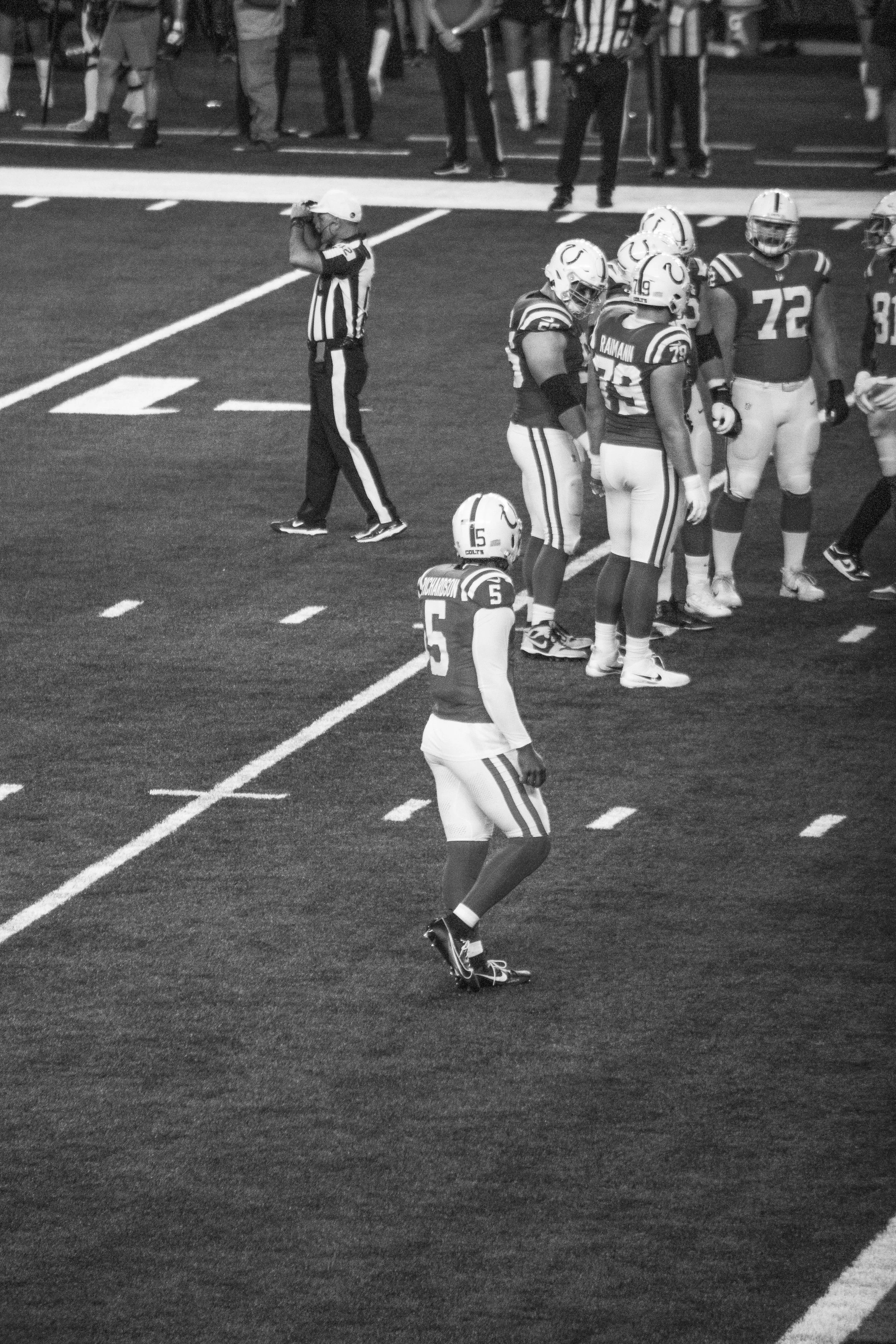 bengals-18.jpg