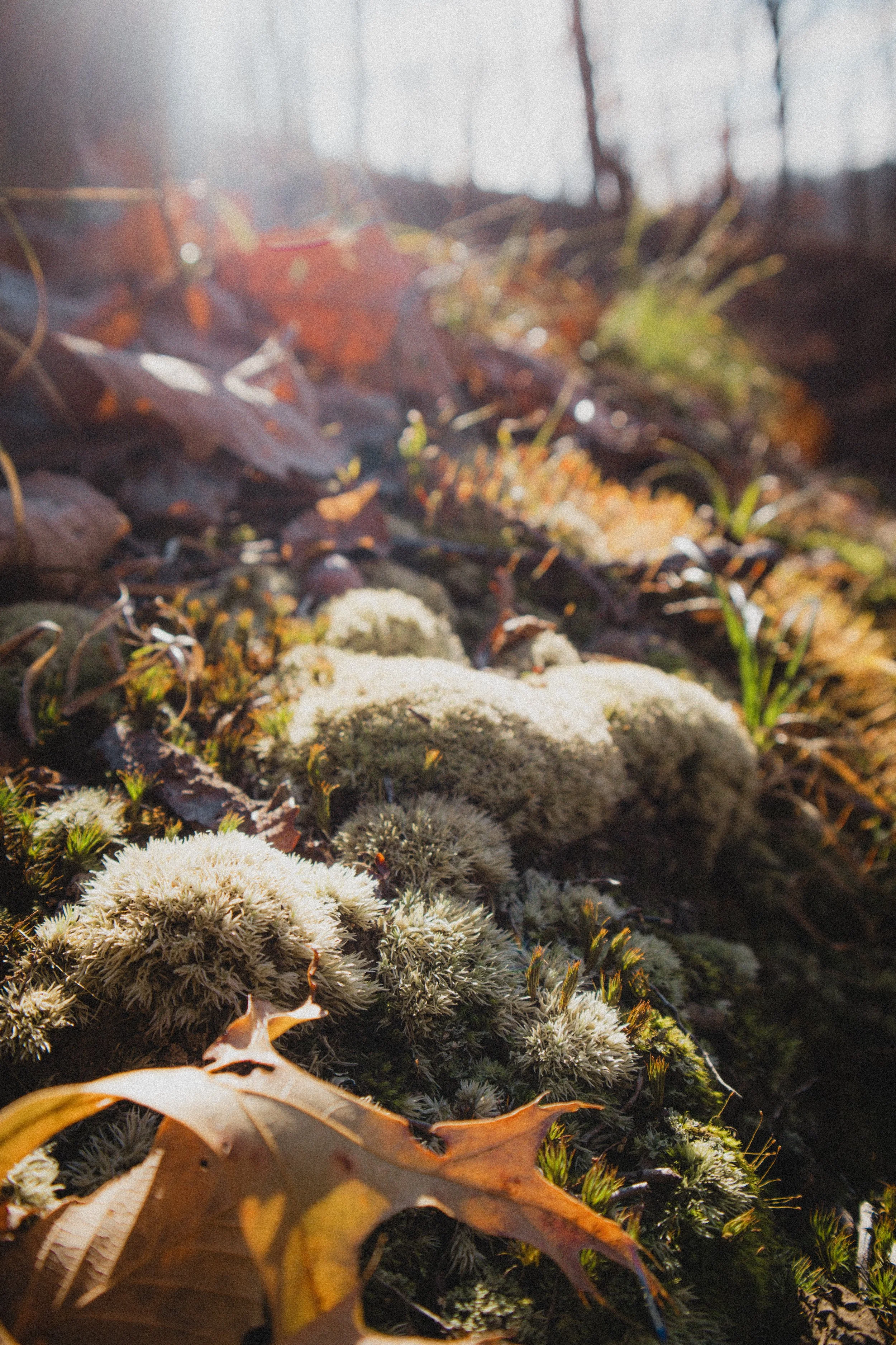 Content Pack 7-8.jpg