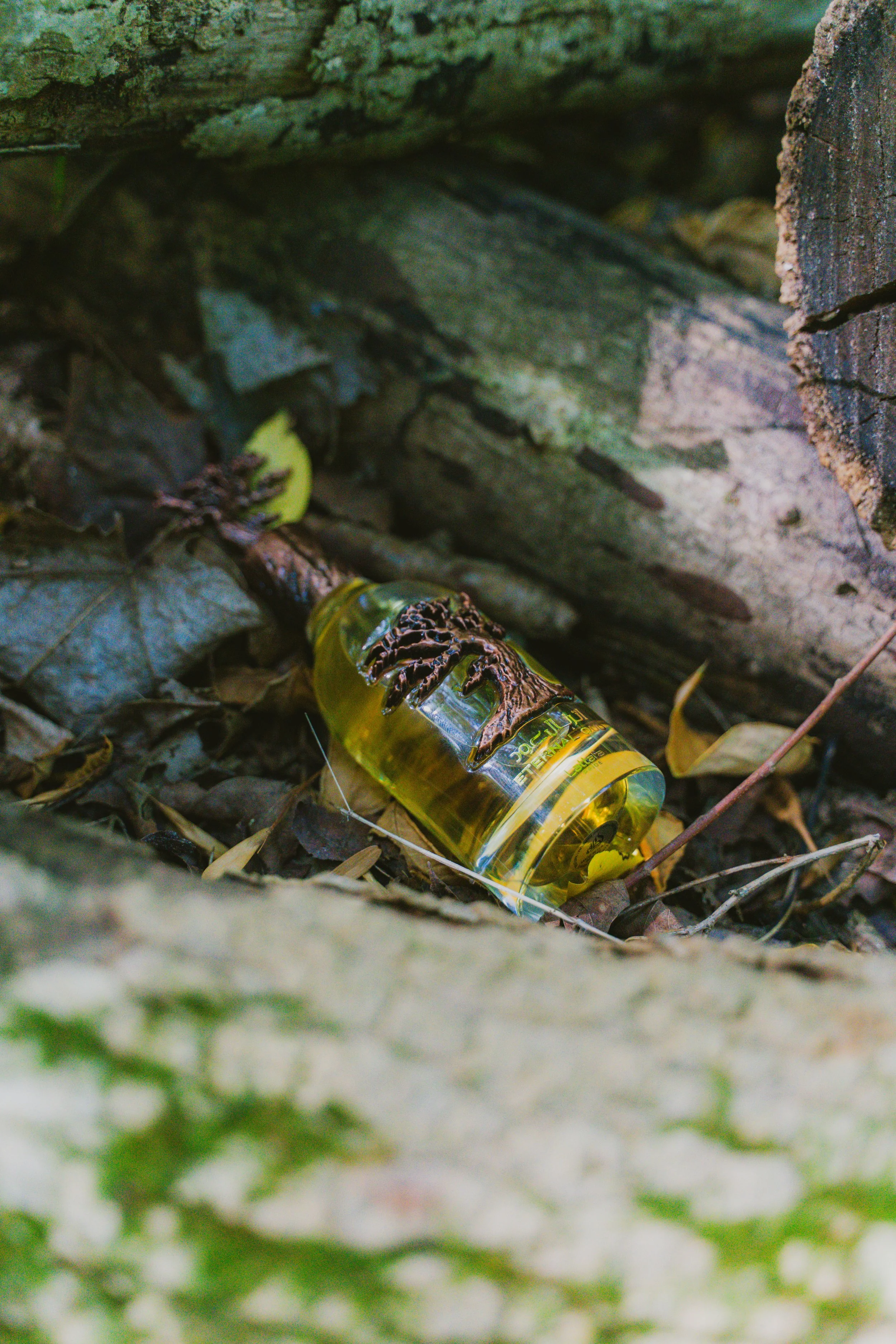 eternal oud ad 1-6.jpg