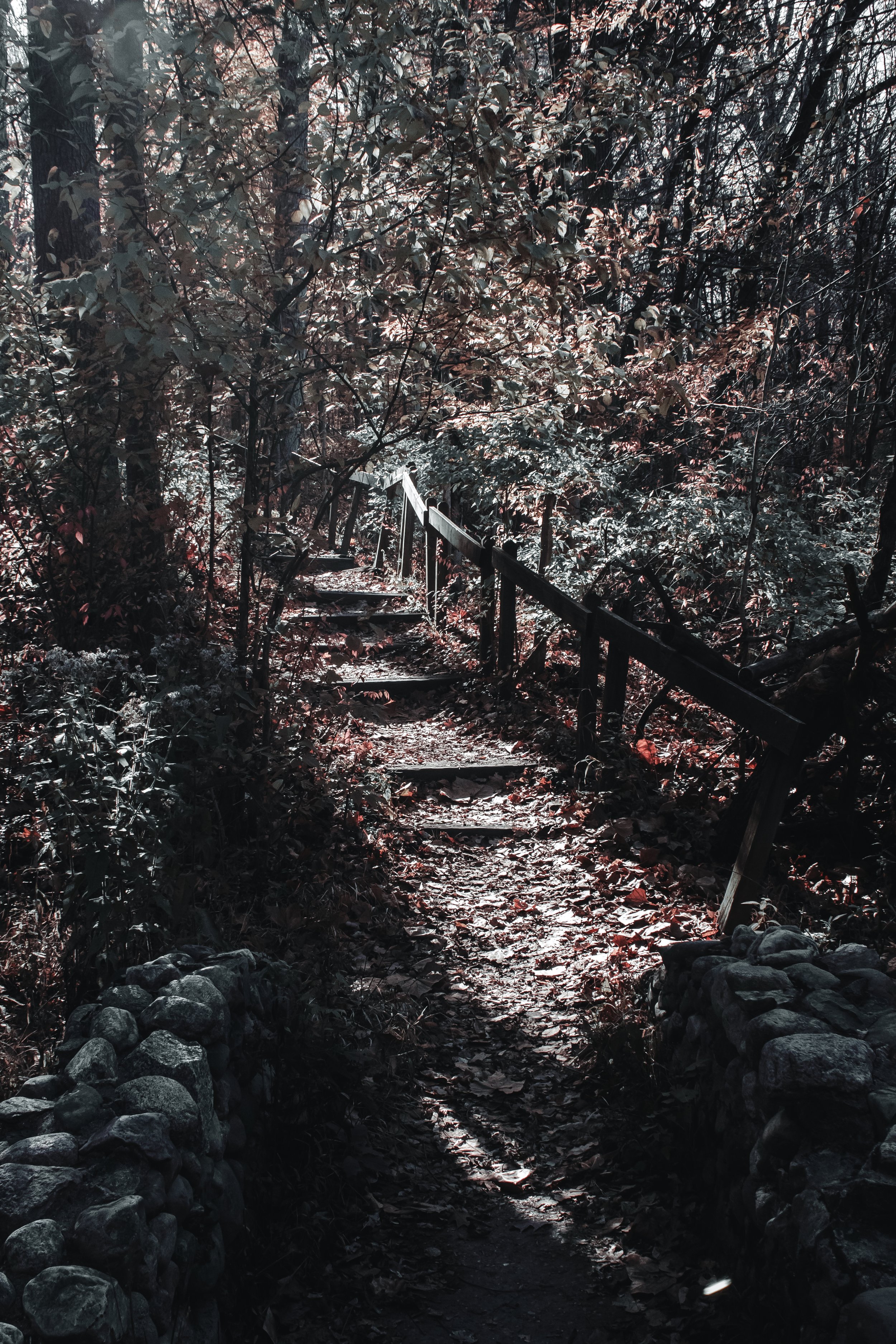 Content Pack 5-20.jpg