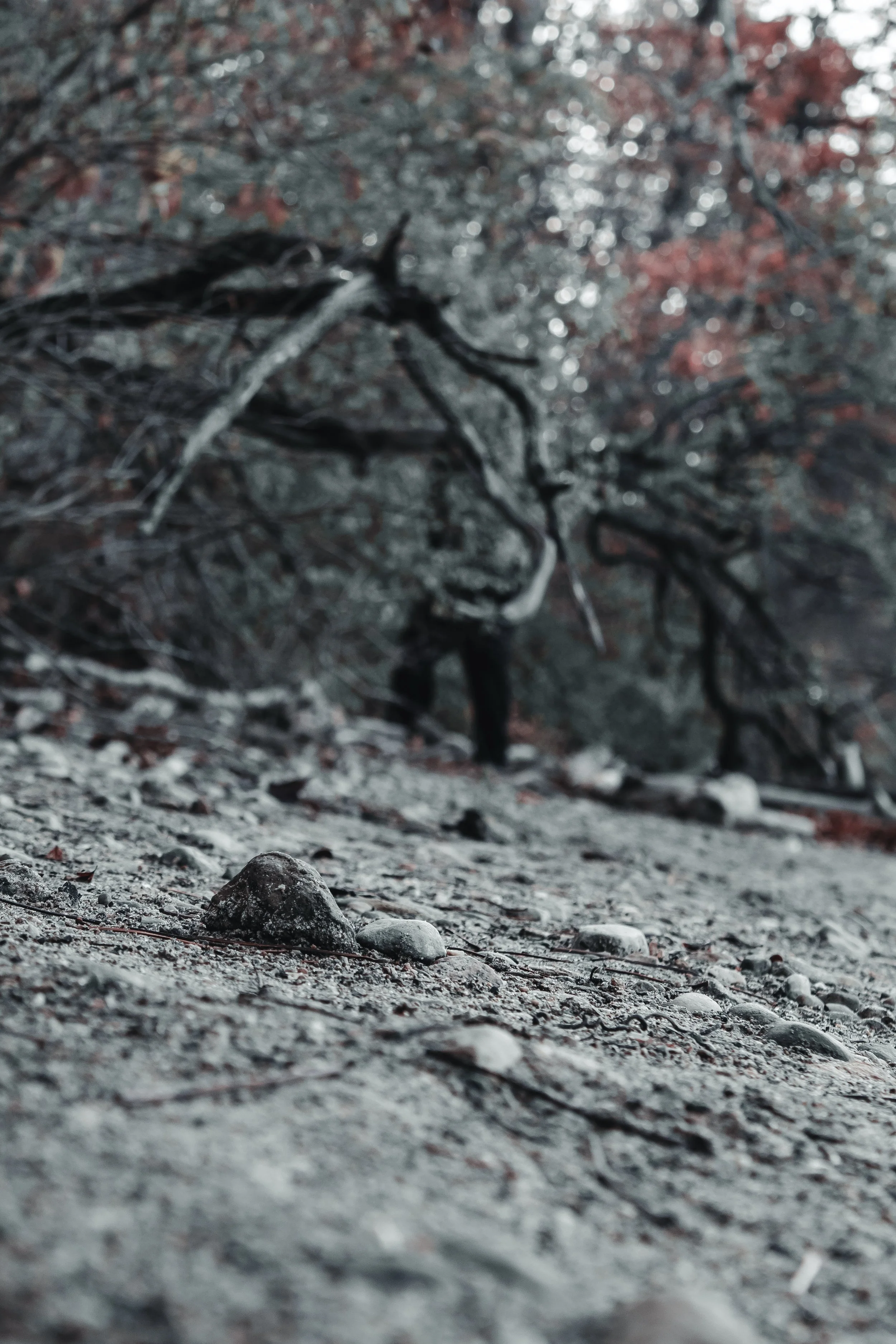 Content Pack 5-13.jpg