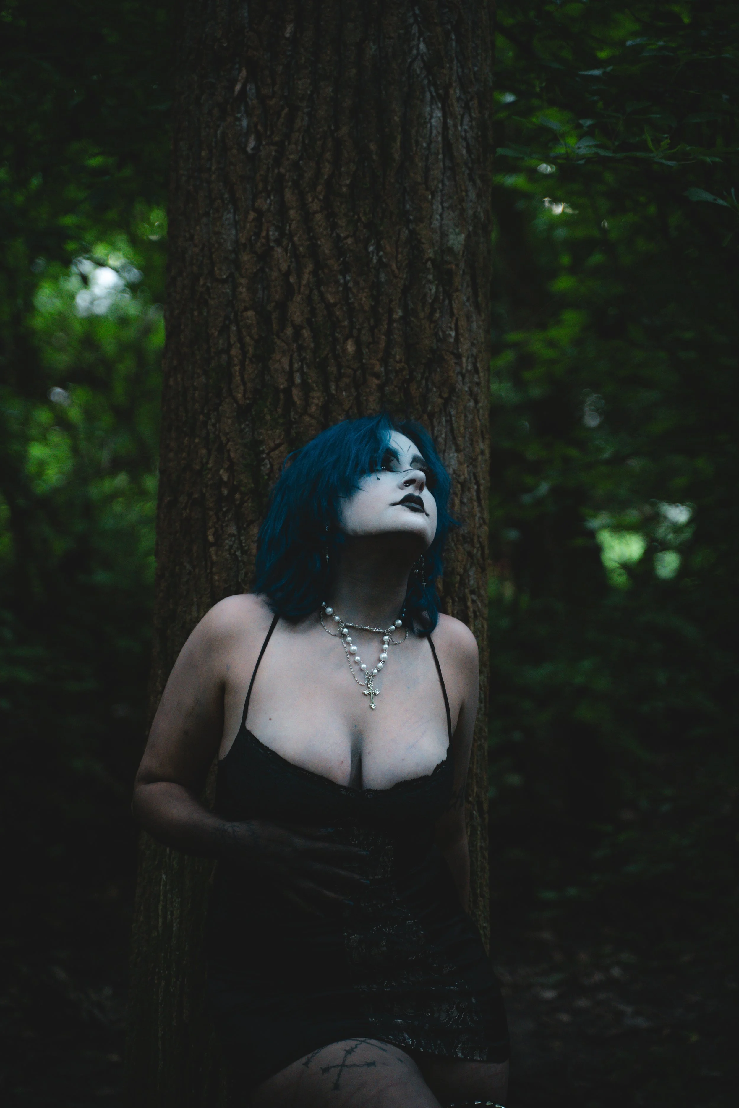 regan woodland disposable.jpg