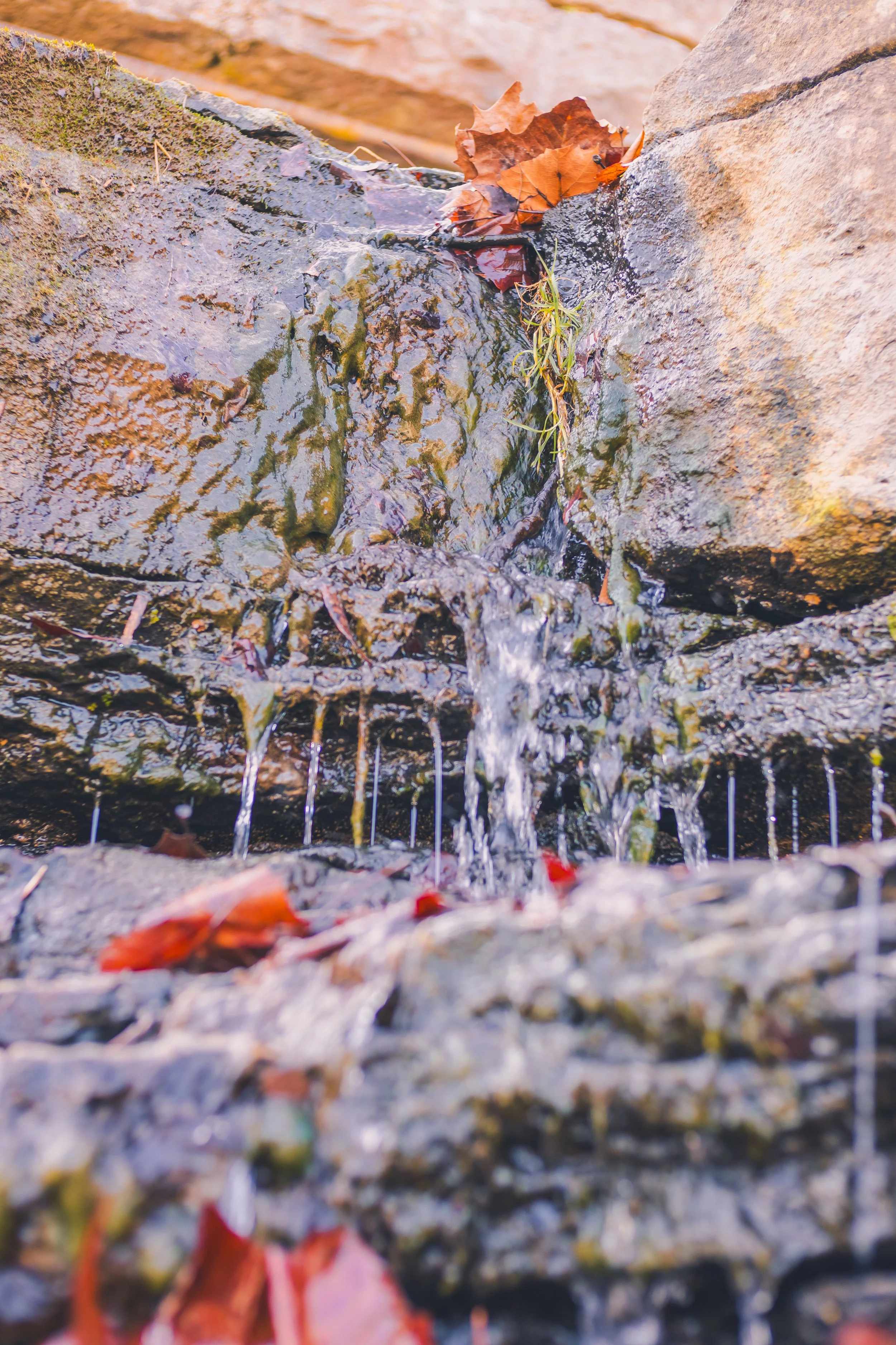 cadarac falls 1-29.jpg