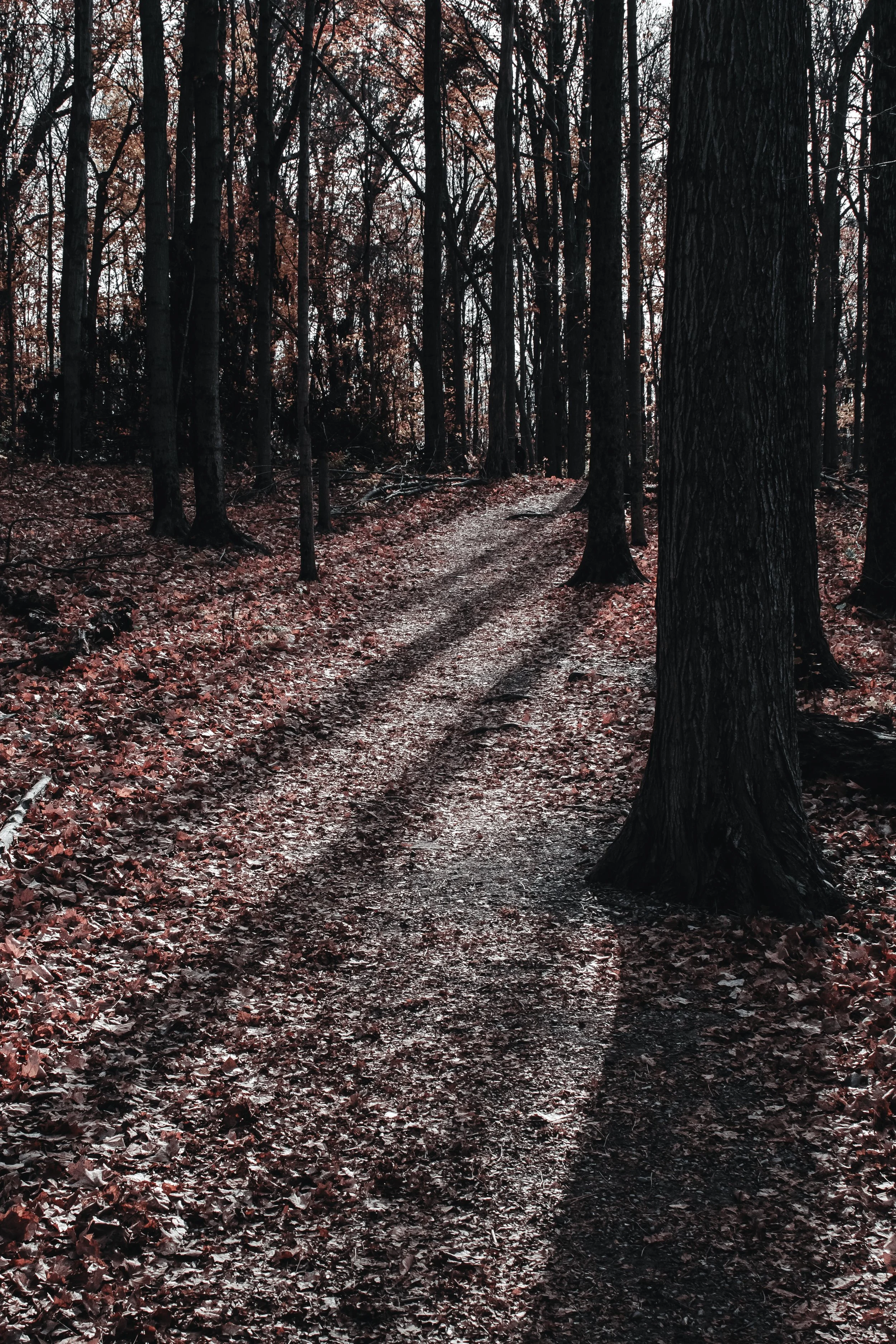 Content Pack 5-18.jpg