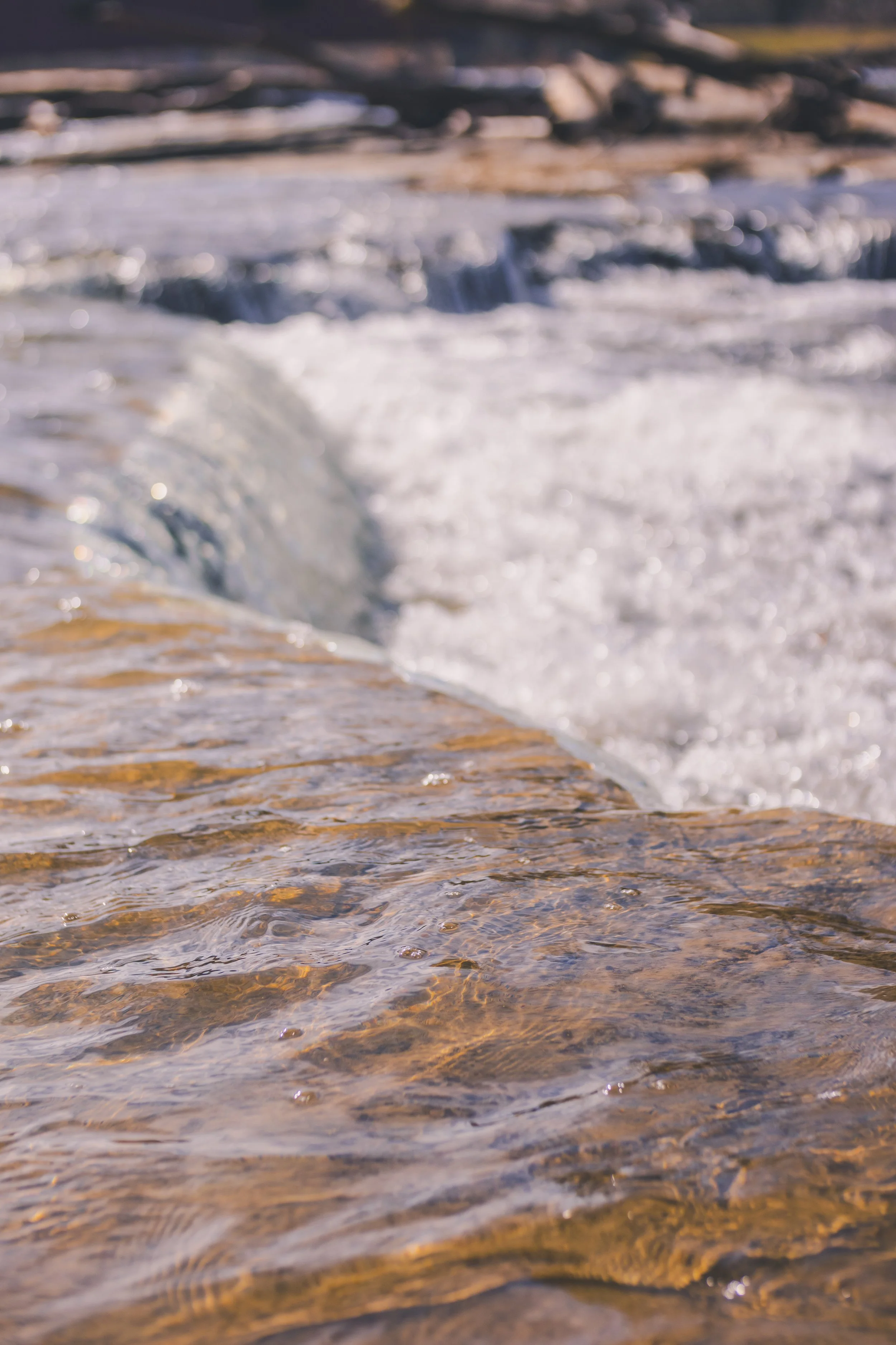 cataract falls-47.jpg