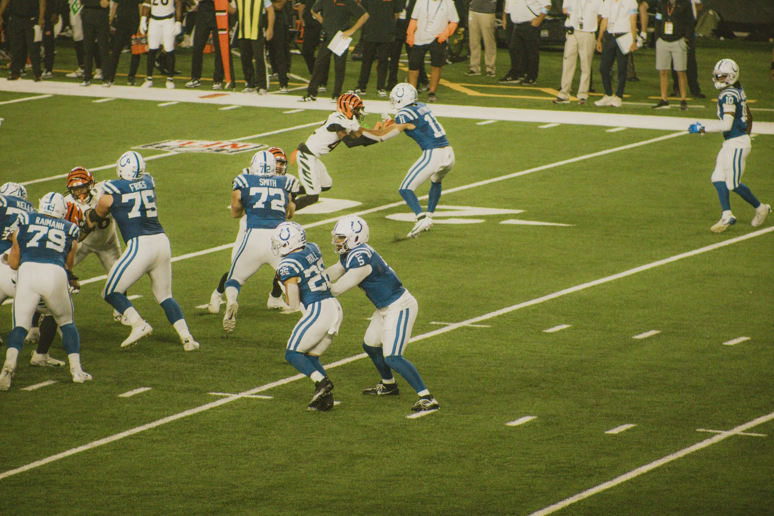 bengals-25.jpg