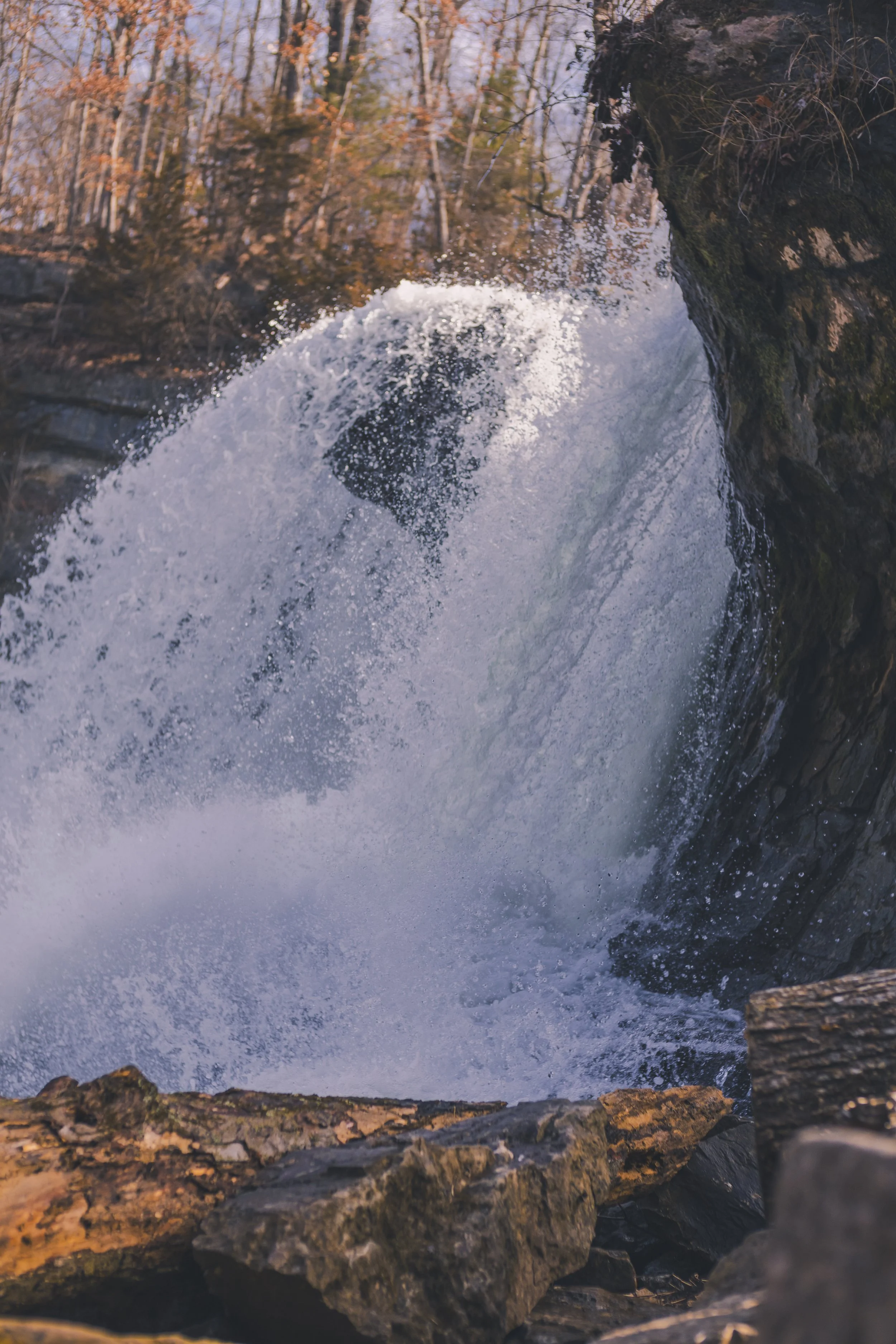 cataract falls-16.jpg