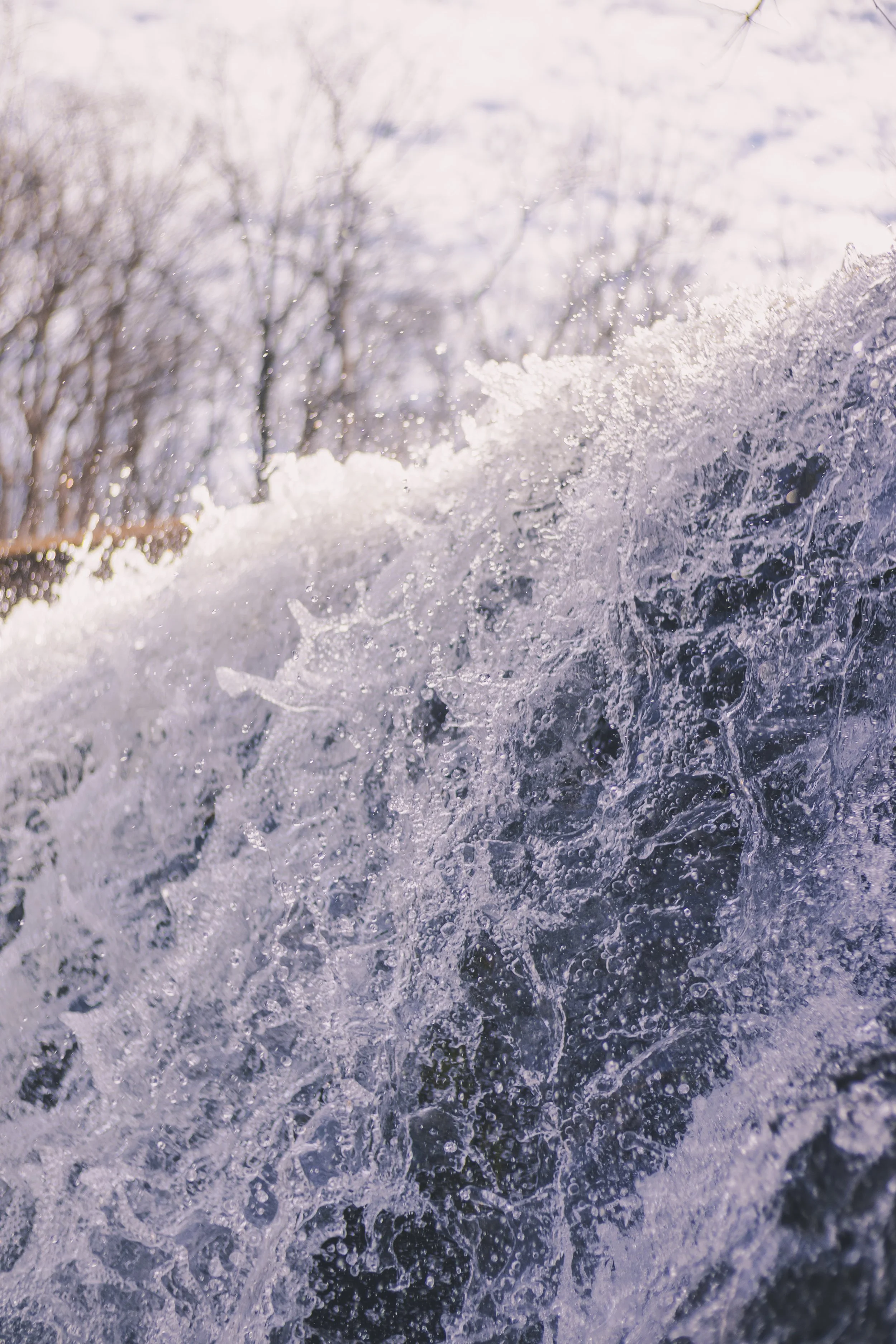 cataract falls-25.jpg