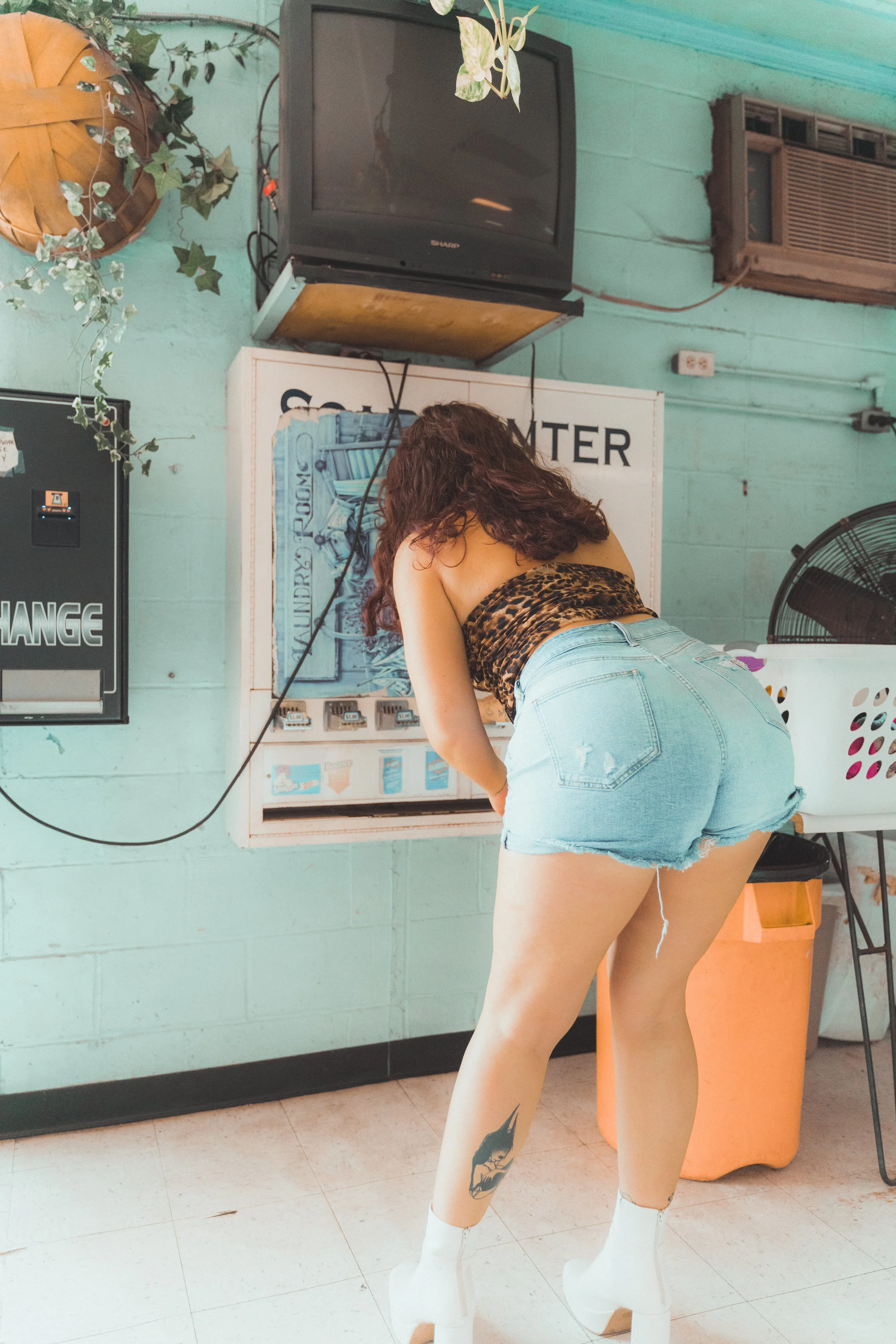 stella laundry-34.jpg
