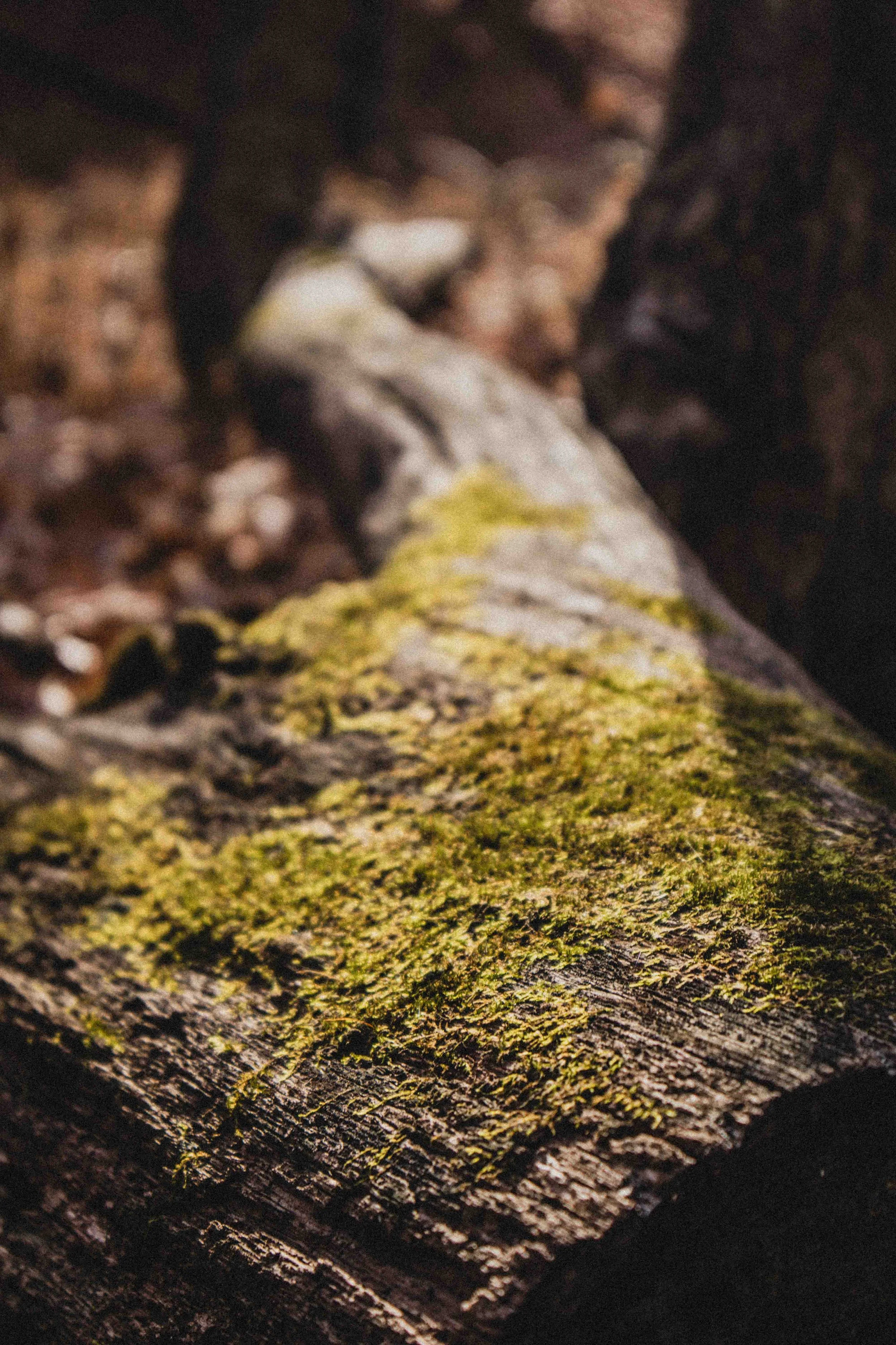 borwnocunty20mb (24 of 30).jpg