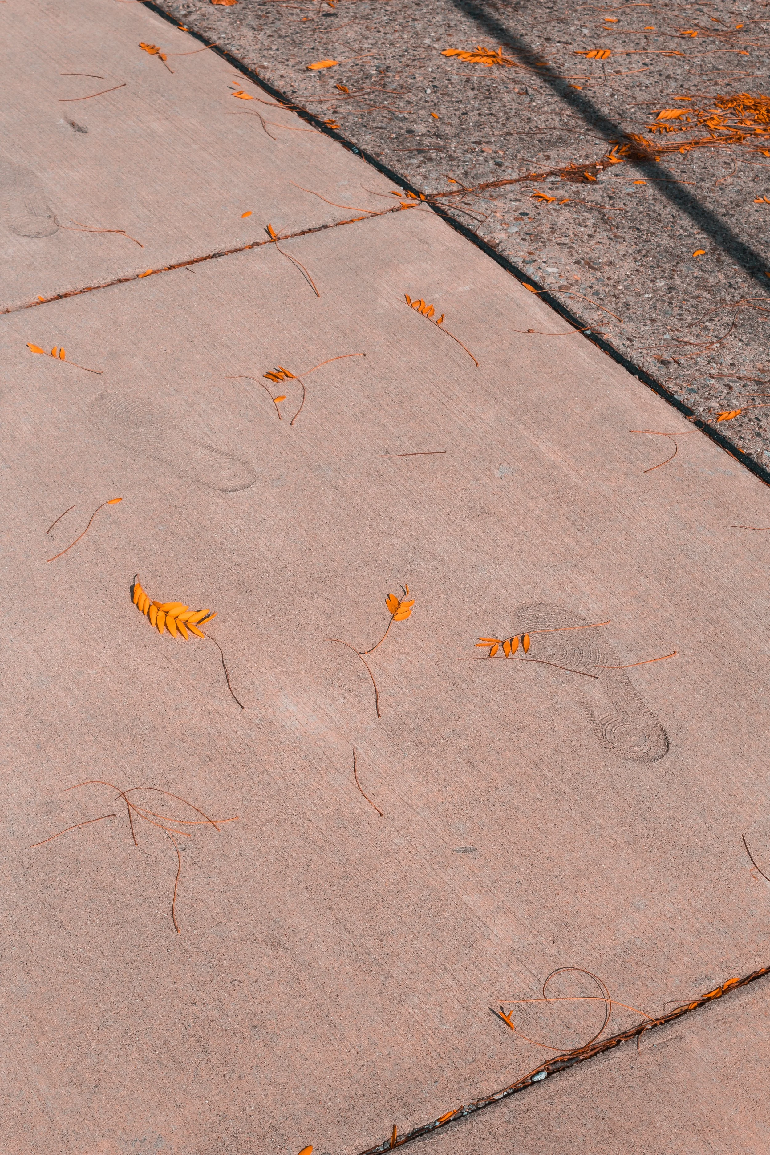 Content Pack 1-3.jpg