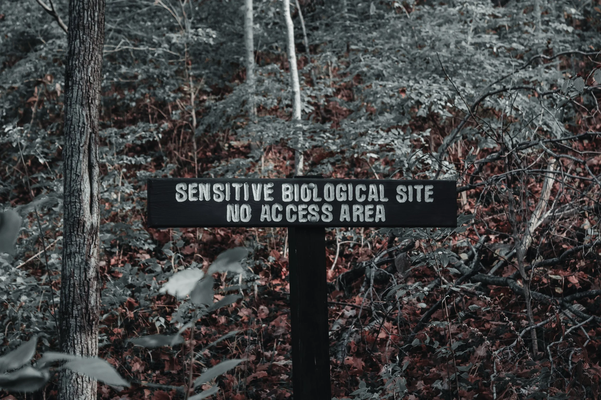 Content Pack 5-8.jpg