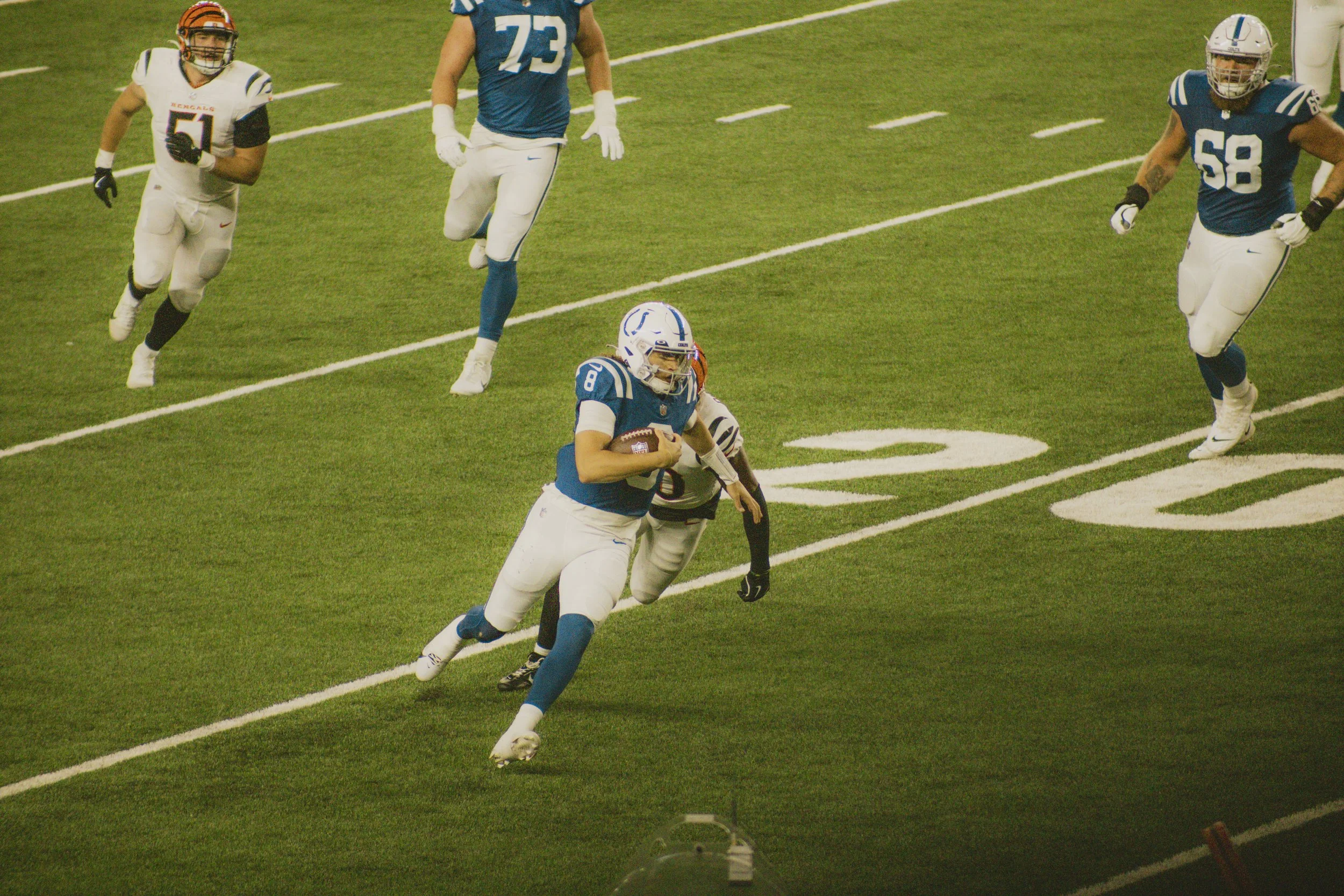 bengals-54.jpg