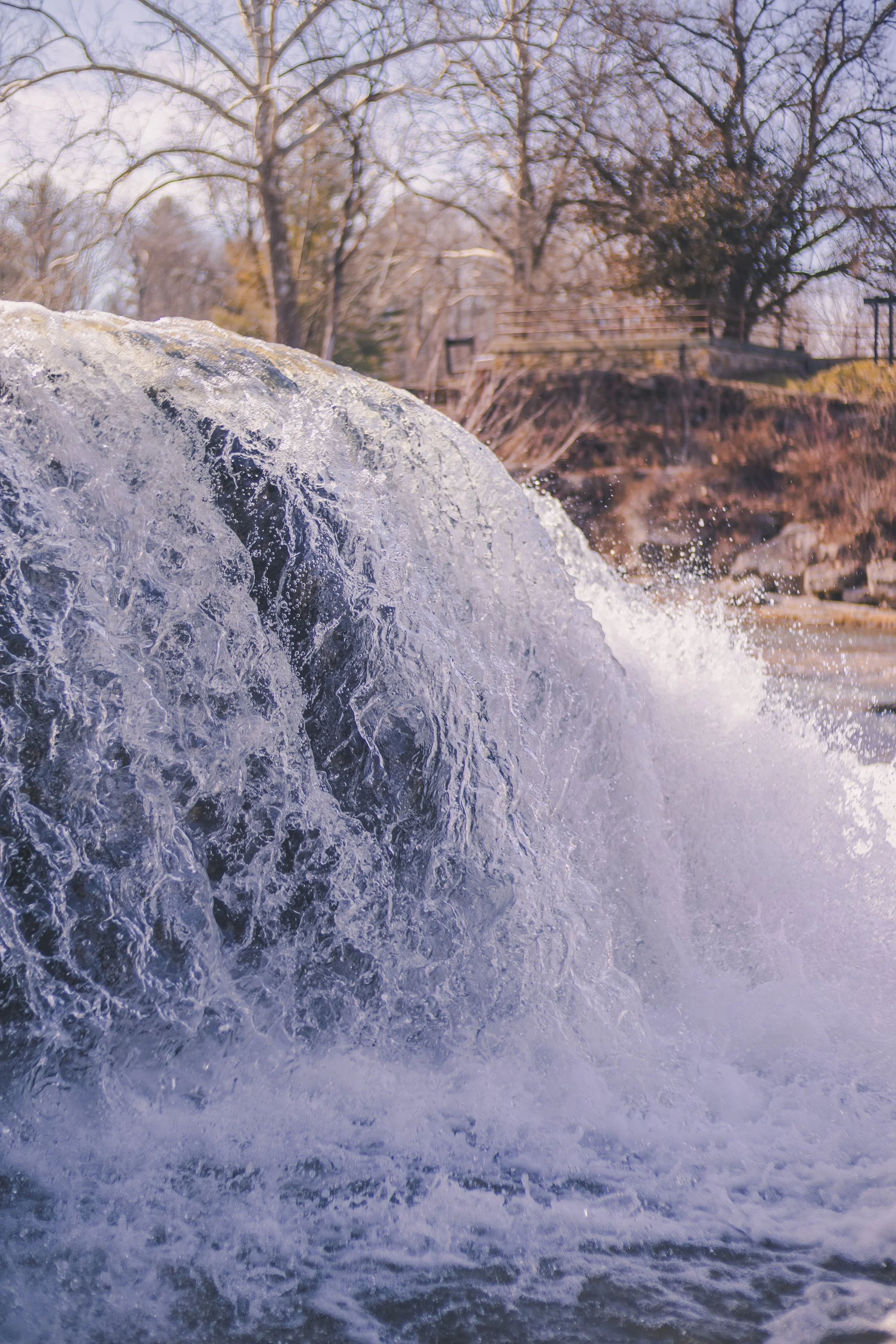 cataract falls-43.jpg