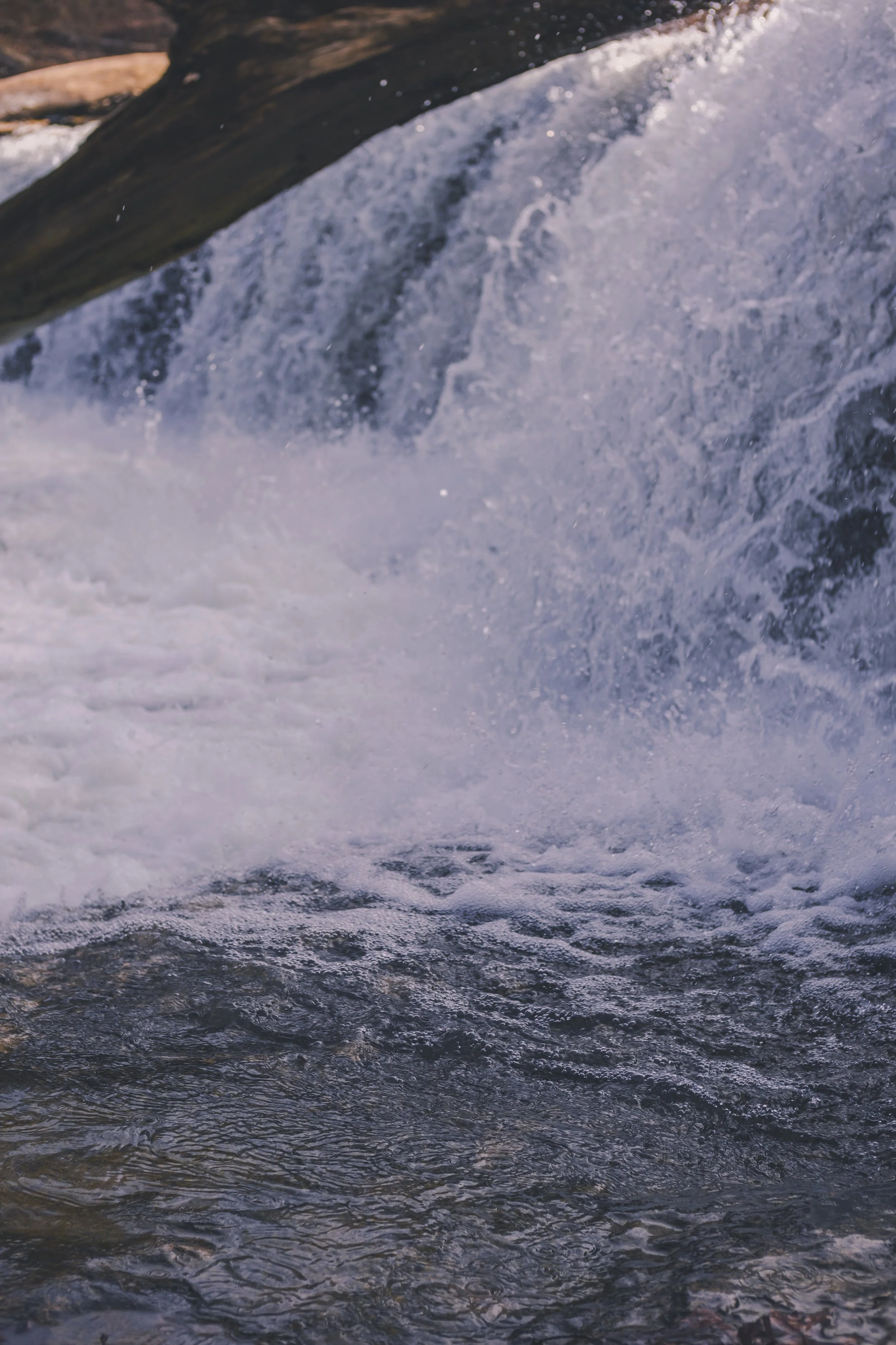 cataract falls-22.jpg