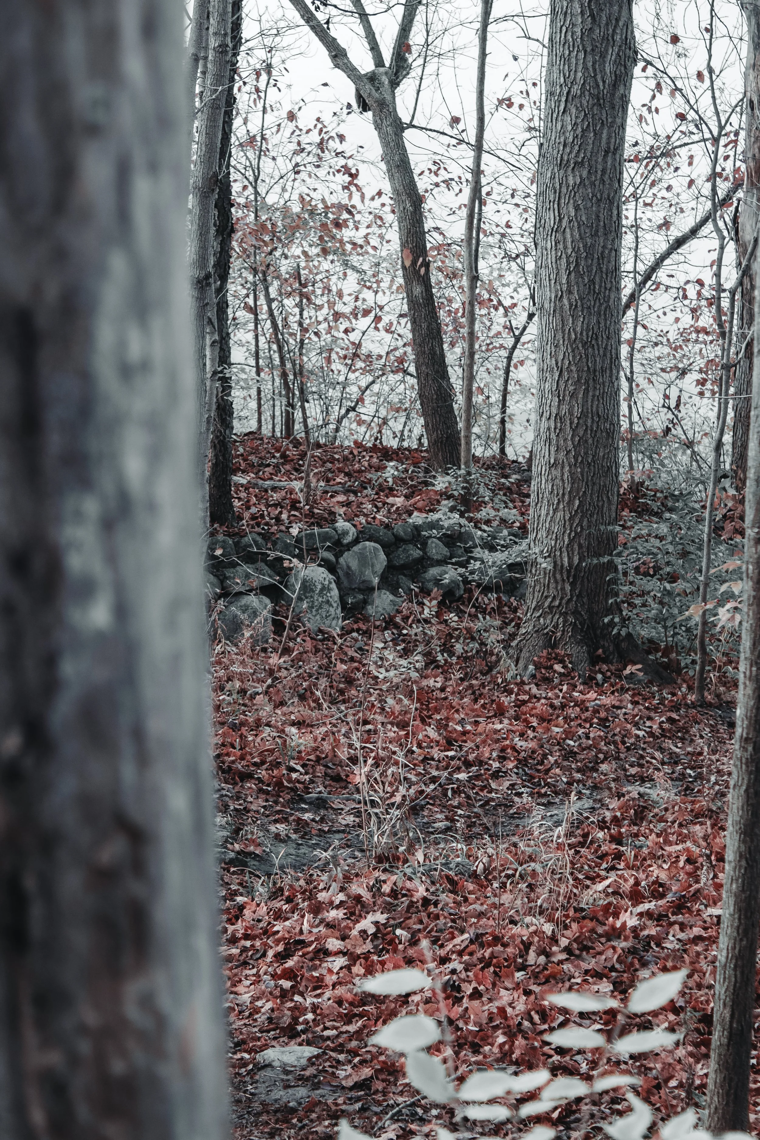 Content Pack 5-6.jpg