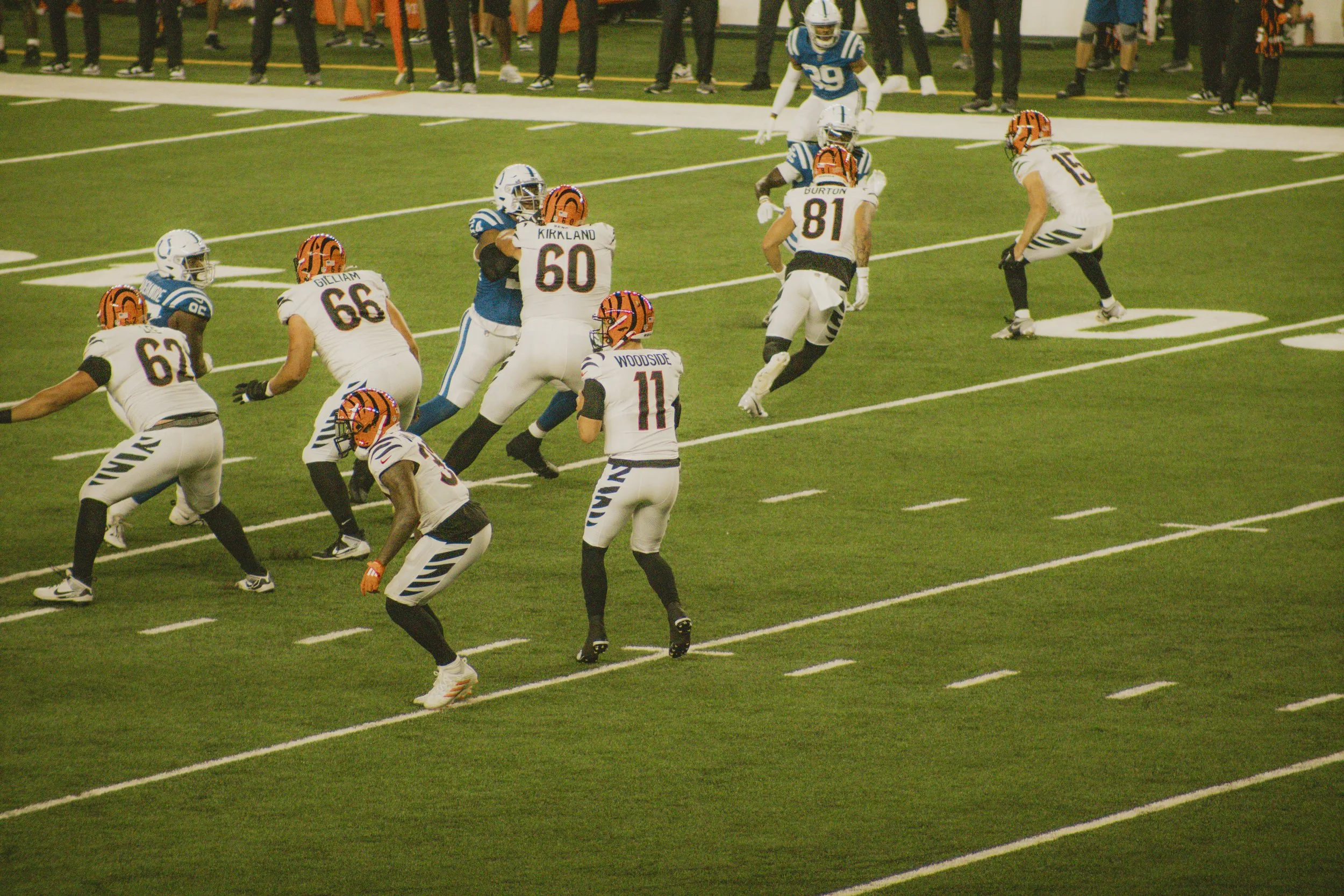 bengals-32.jpg