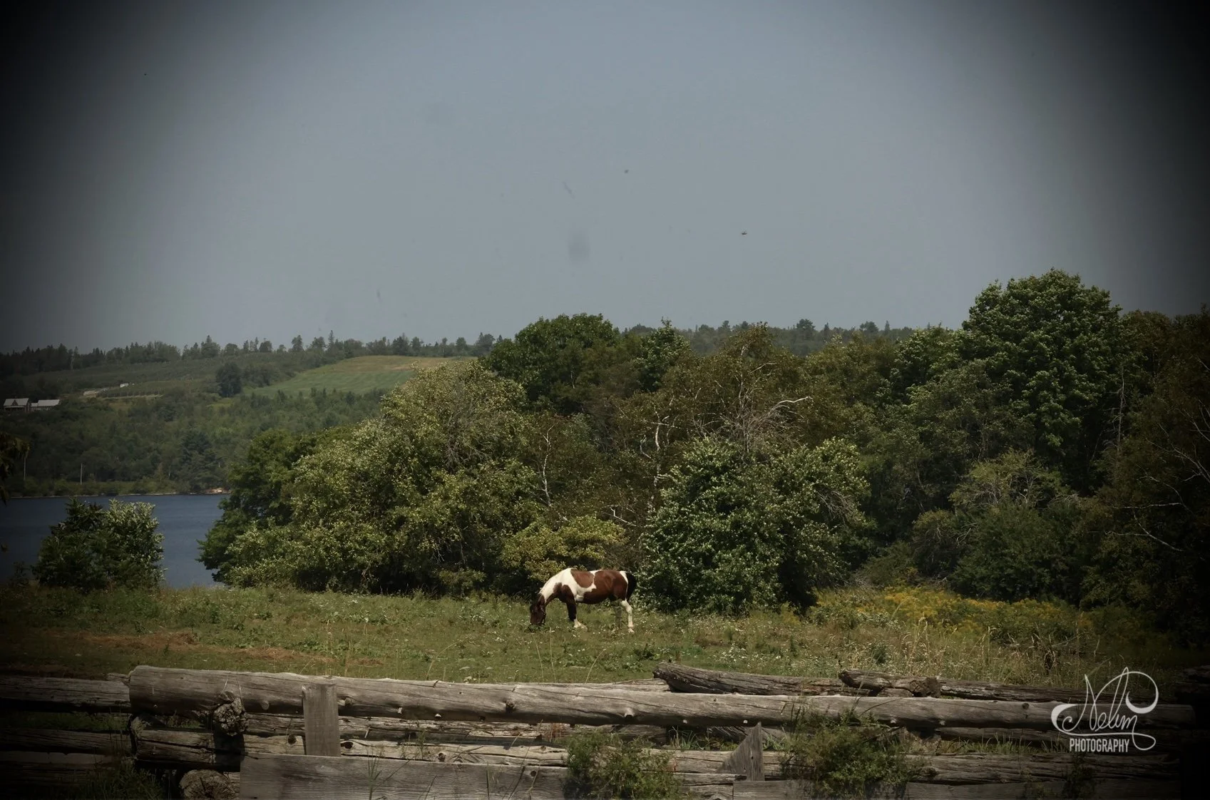 IMG_3240.jpeg