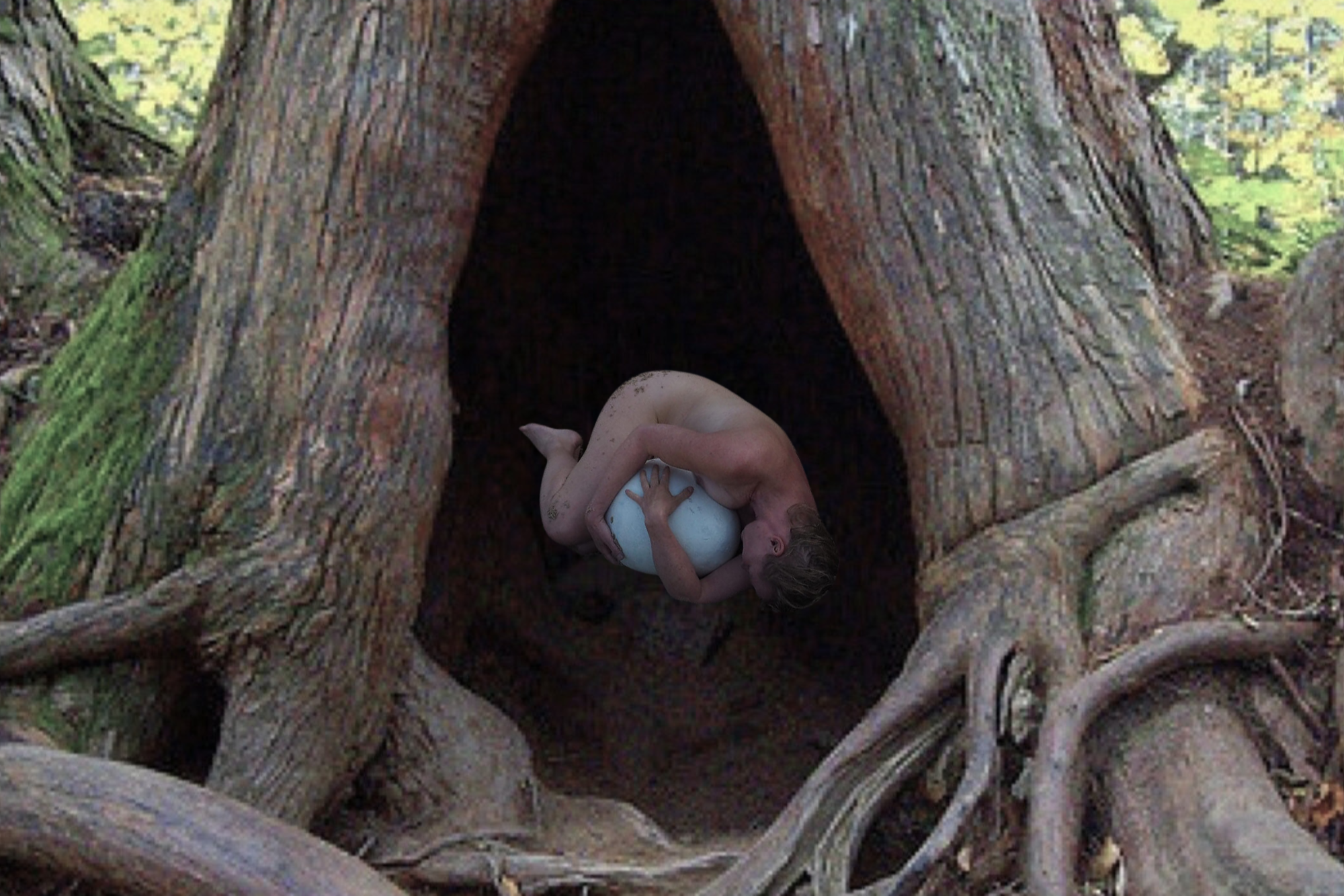 House for Homeless Grief (Installation &amp; performance)